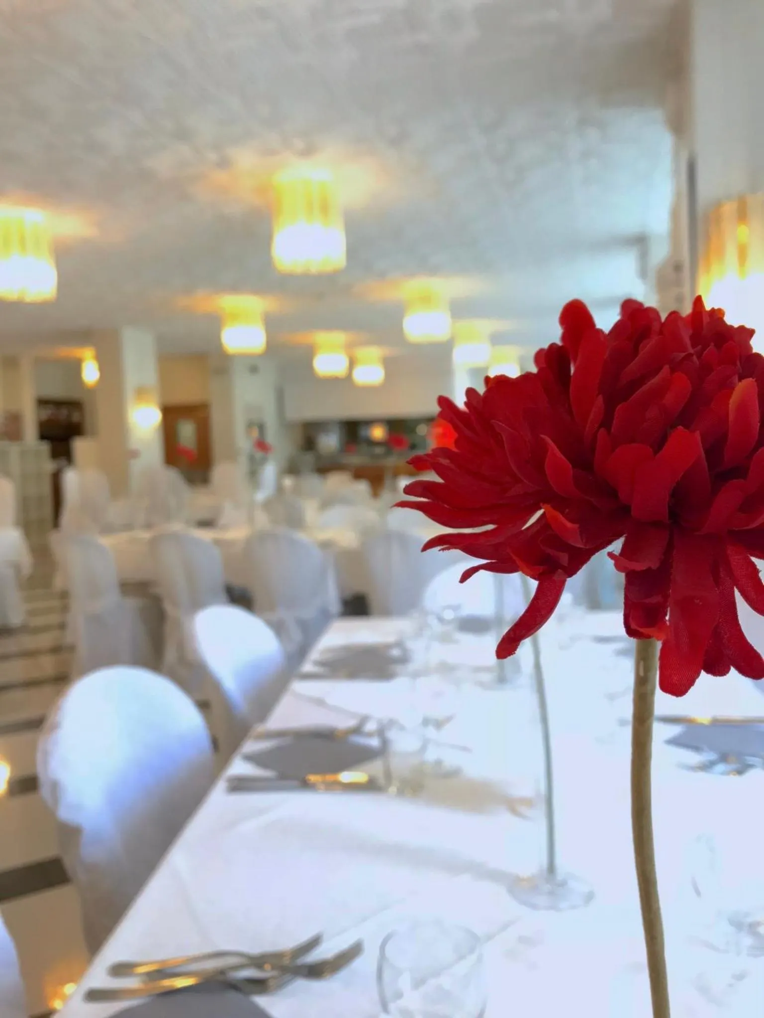 Restaurant/places to eat in Hotel La Perla