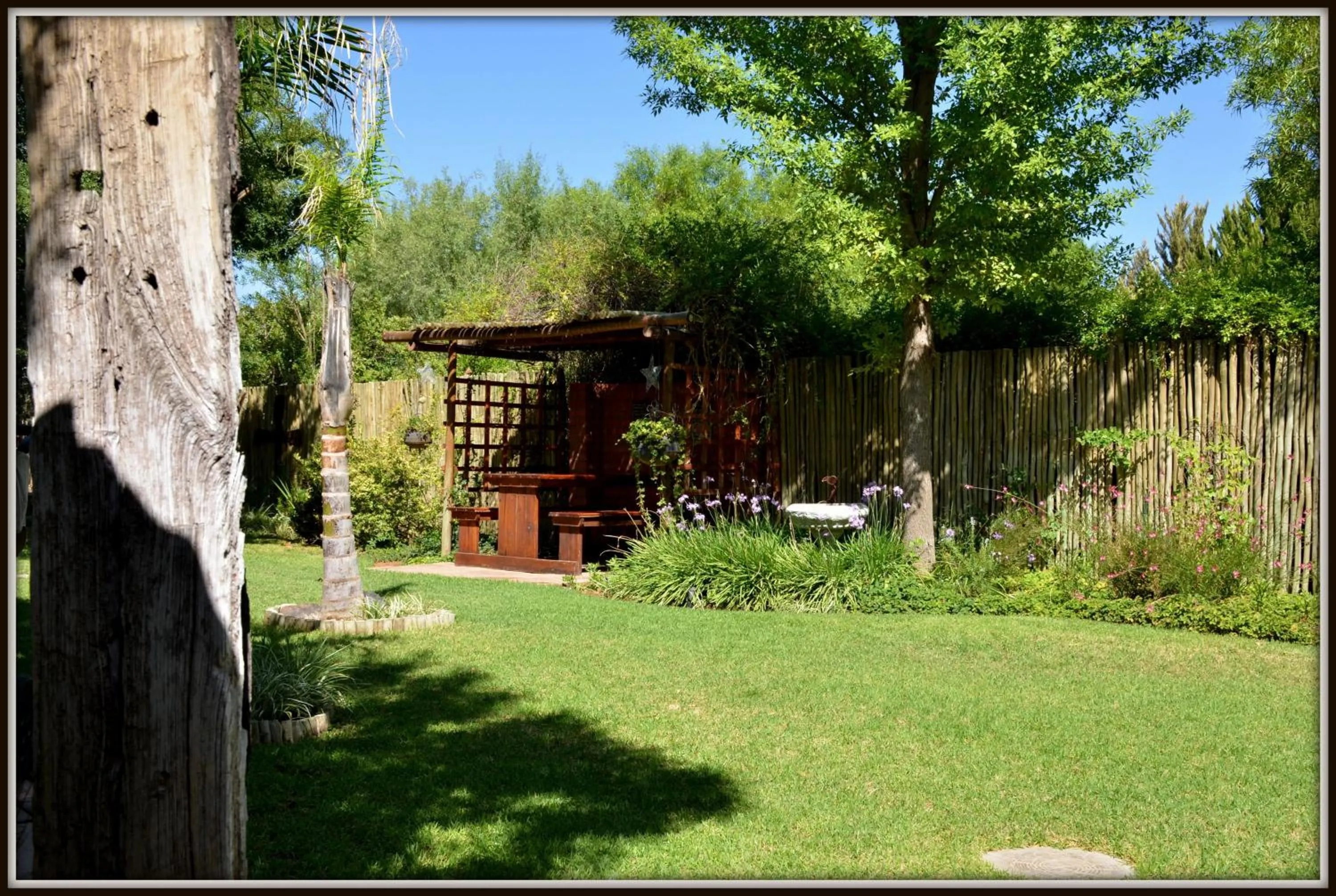 Garden in Coffee@Home (Pty) Ltd