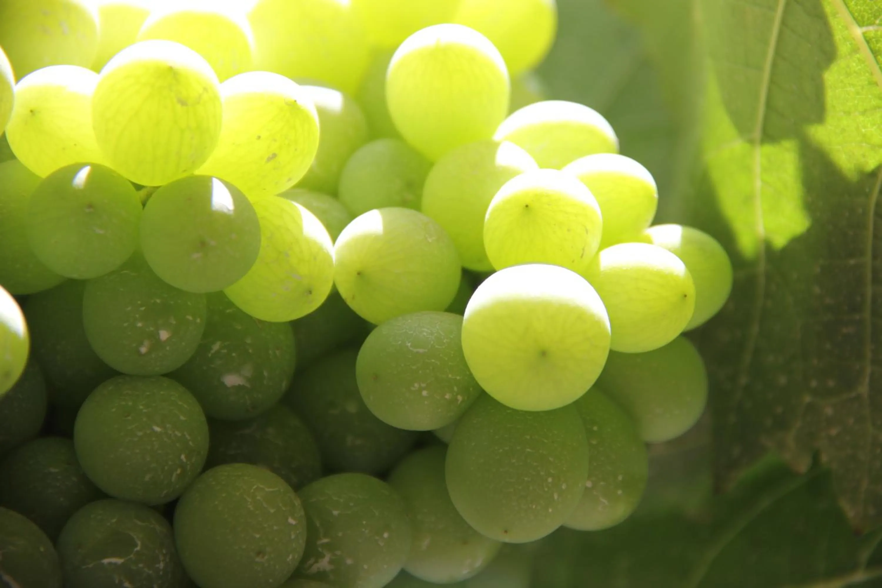 View (from property/room) in Hostal Tambo Colorado