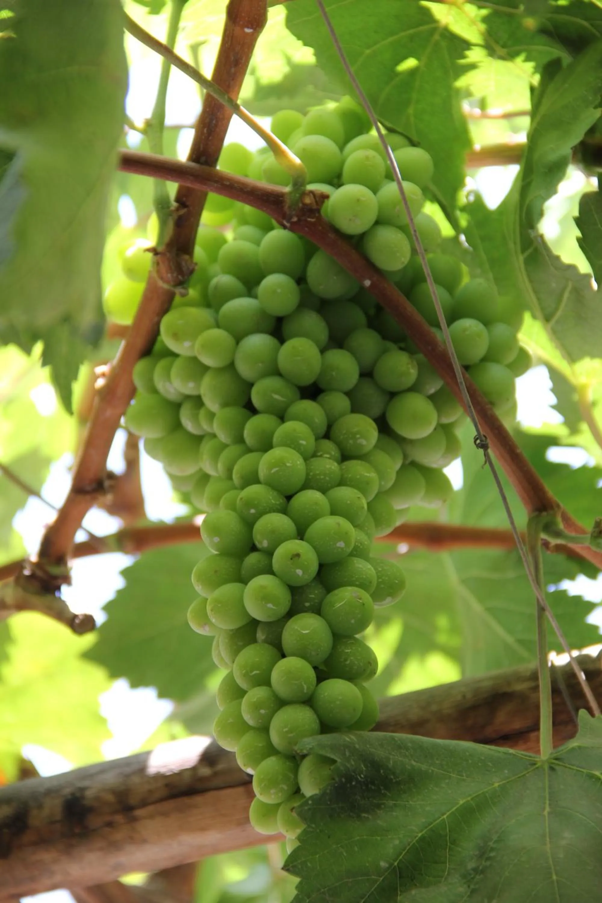 View (from property/room) in Hostal Tambo Colorado