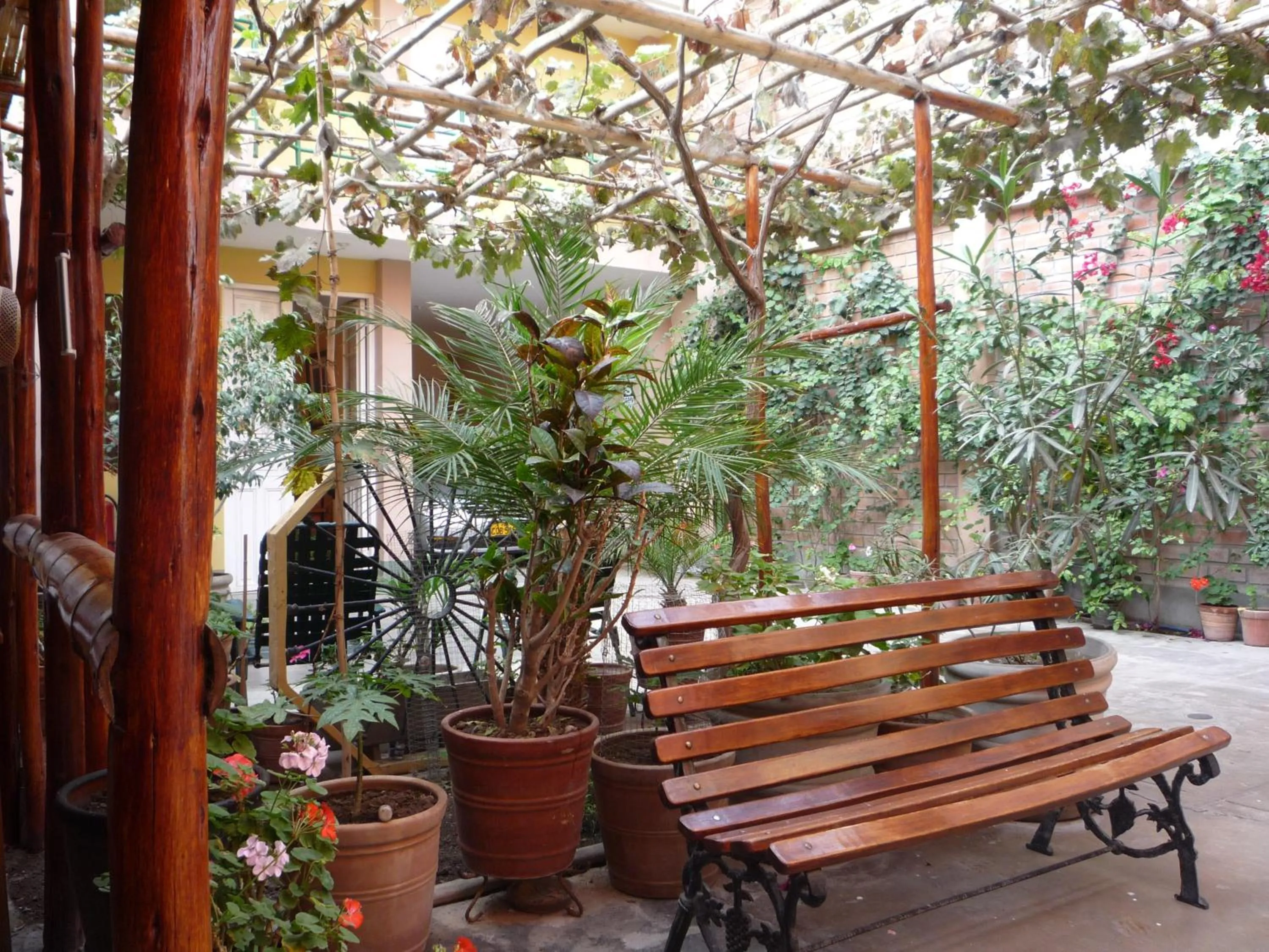 Patio in Hostal Tambo Colorado