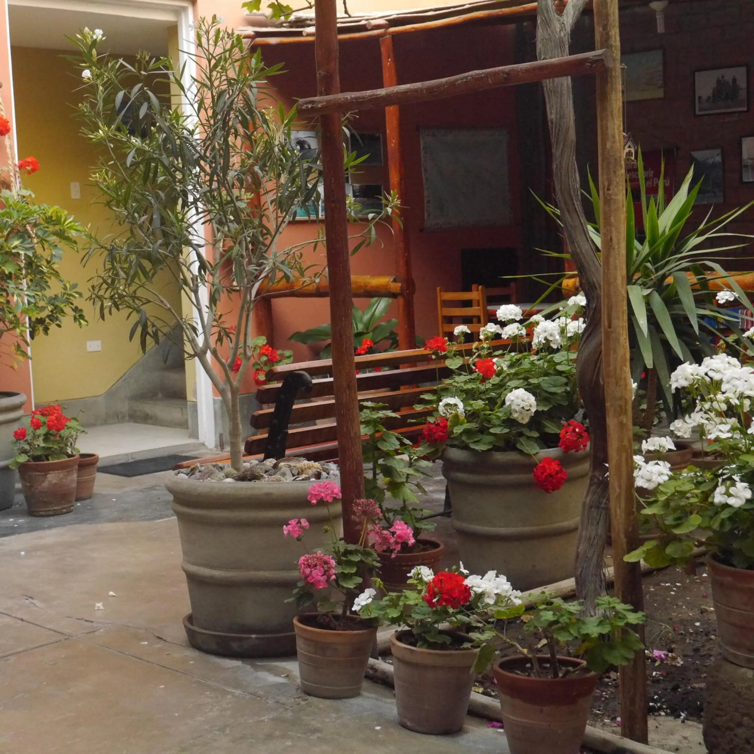 Garden in Hostal Tambo Colorado