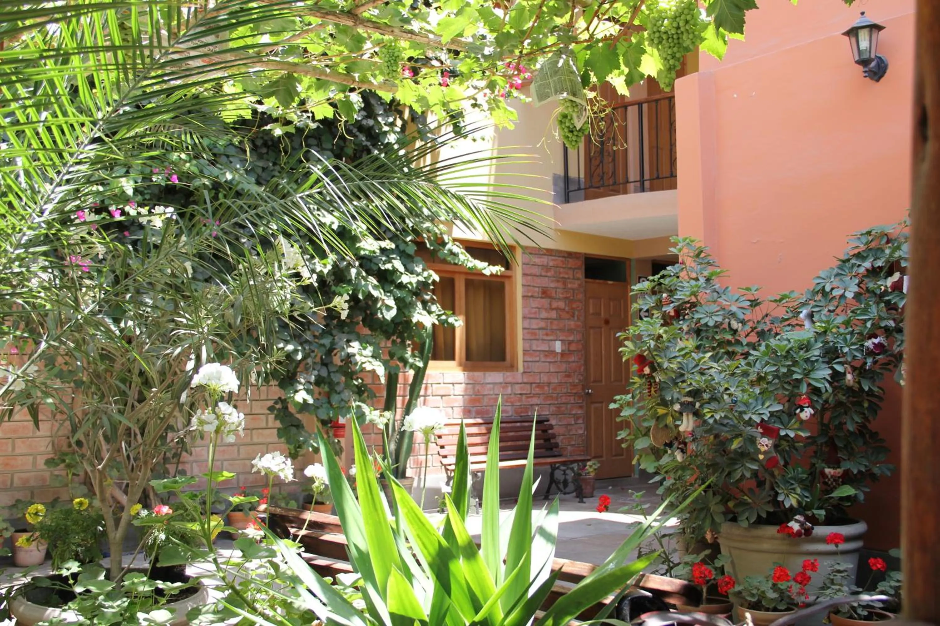 Patio in Hostal Tambo Colorado