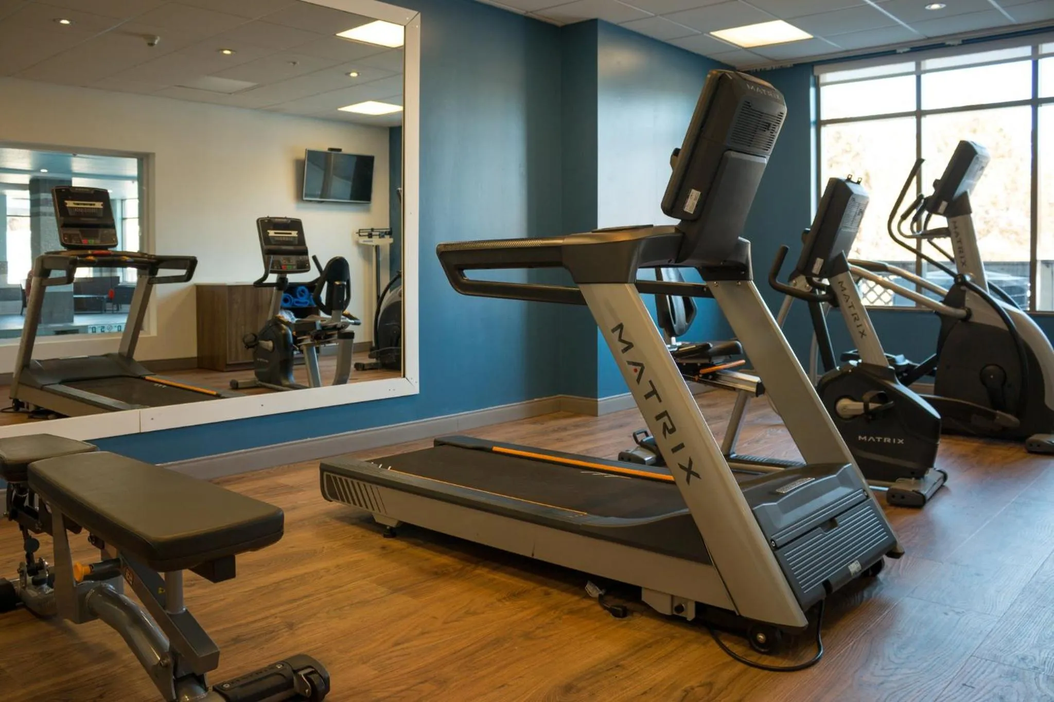 Fitness centre/facilities in Holiday Inn Express Kingston Central by IHG
