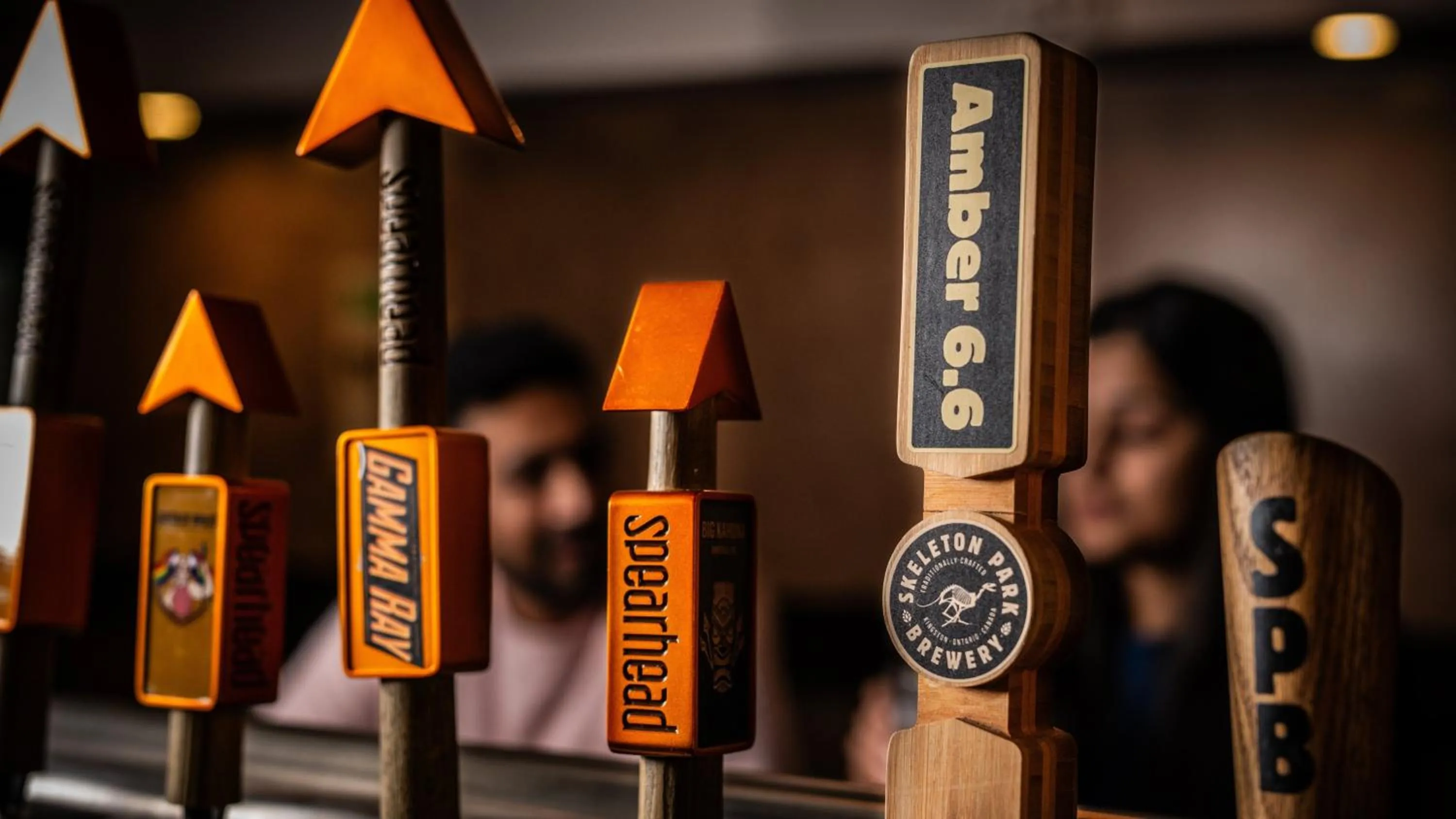 Area and facilities in Holiday Inn Express Kingston Central by IHG