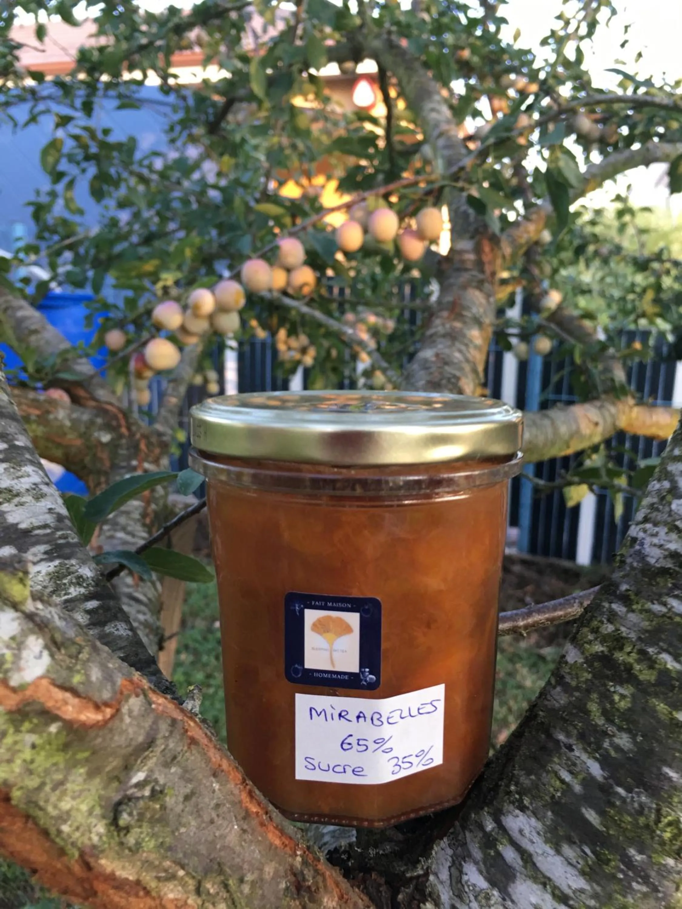 Garden in Sleeping Bio Tea