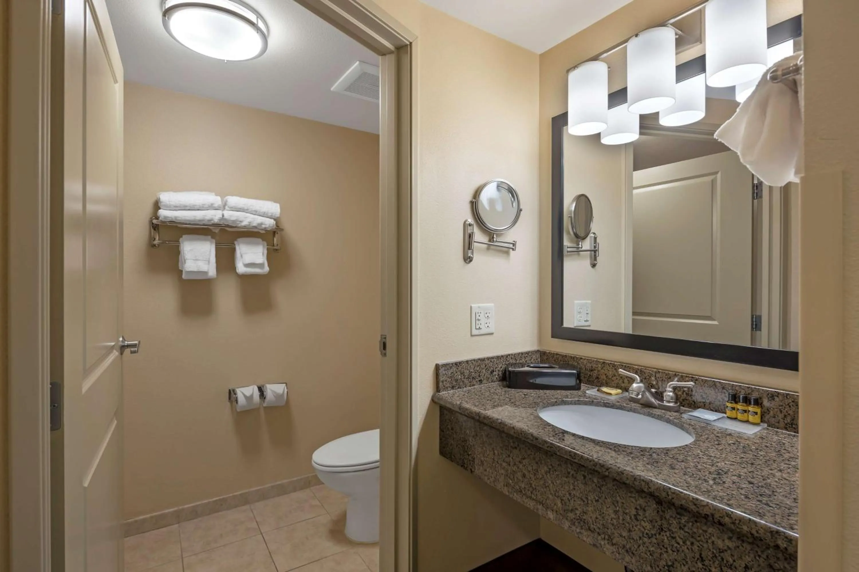 Bathroom in Best Western Plus Chena River Lodge