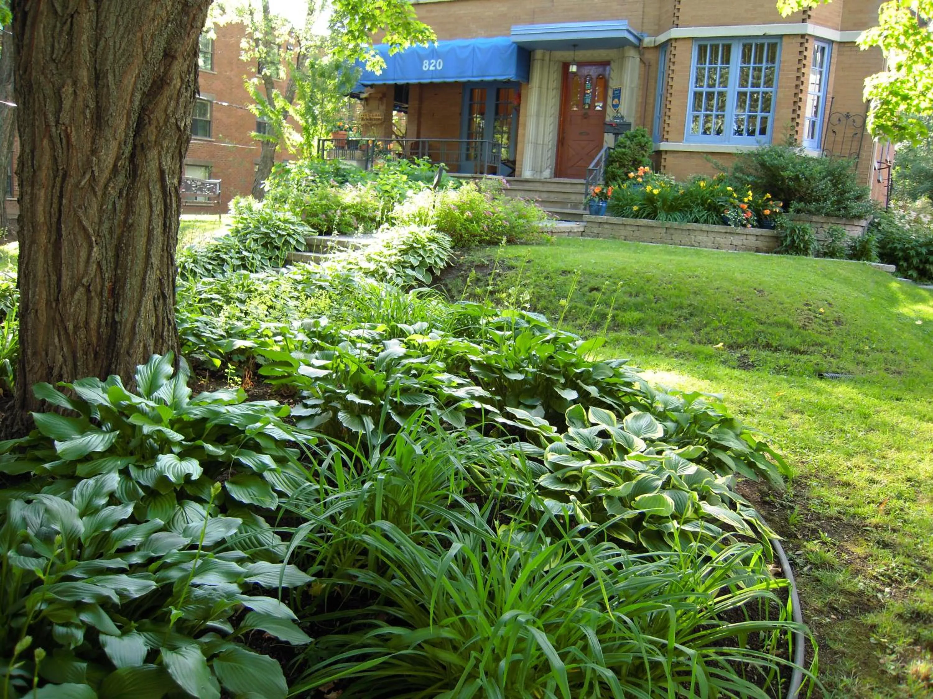 Garden in L'Arvidienne Couette et Café