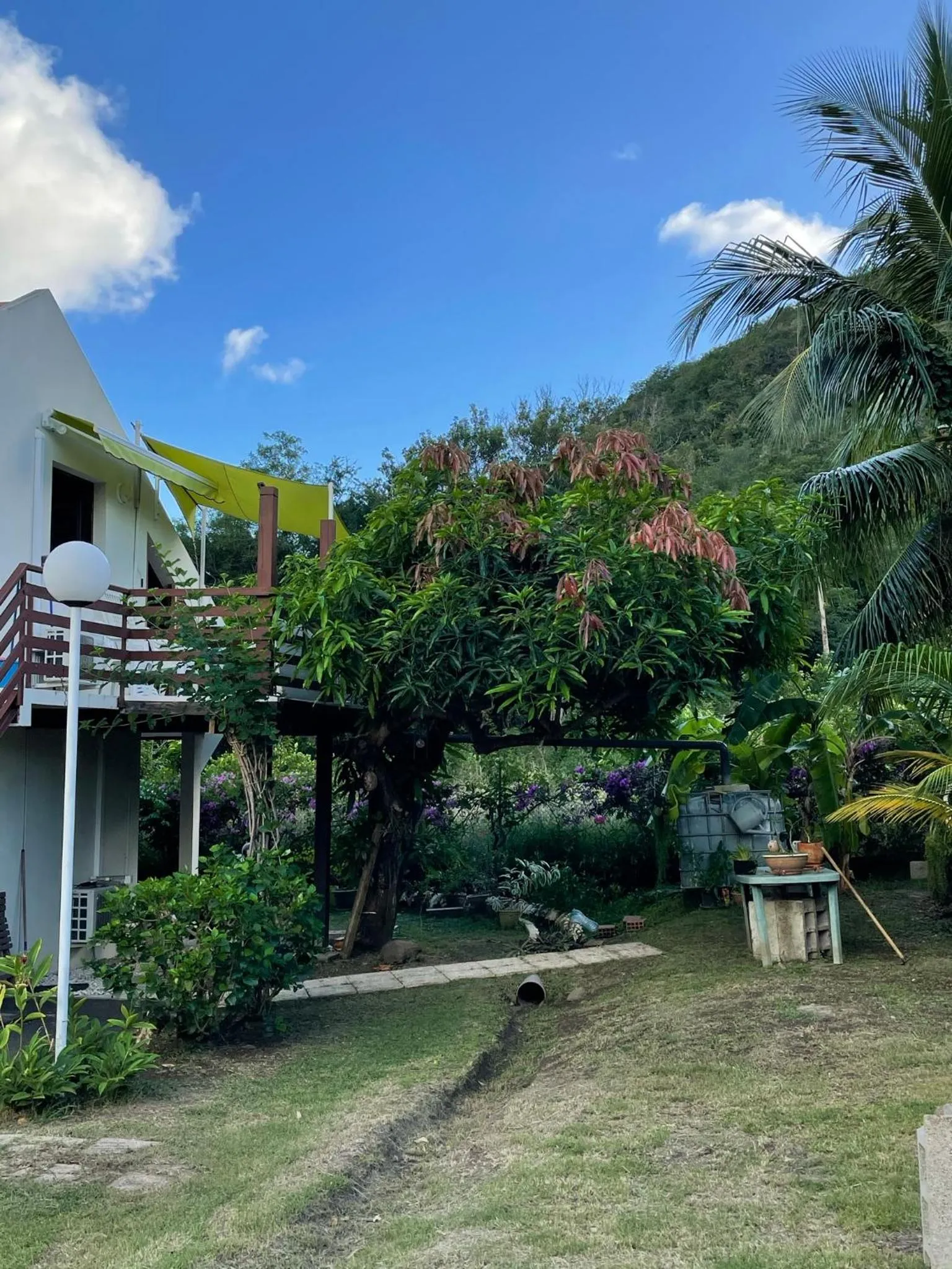 Garden in Résidence Sucrerie Motel - Les Anses-d'Arlets - Martinique