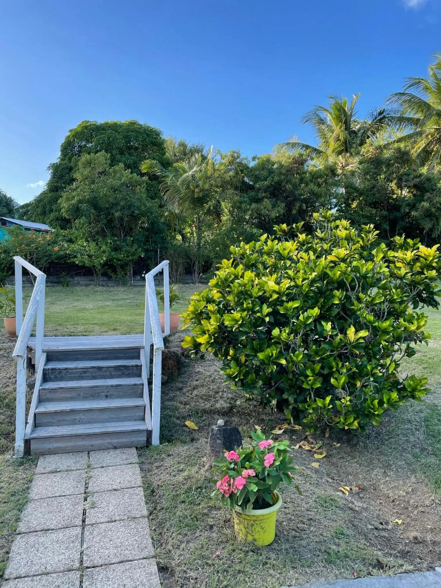 Garden in Résidence Sucrerie Motel - Les Anses-d'Arlets - Martinique