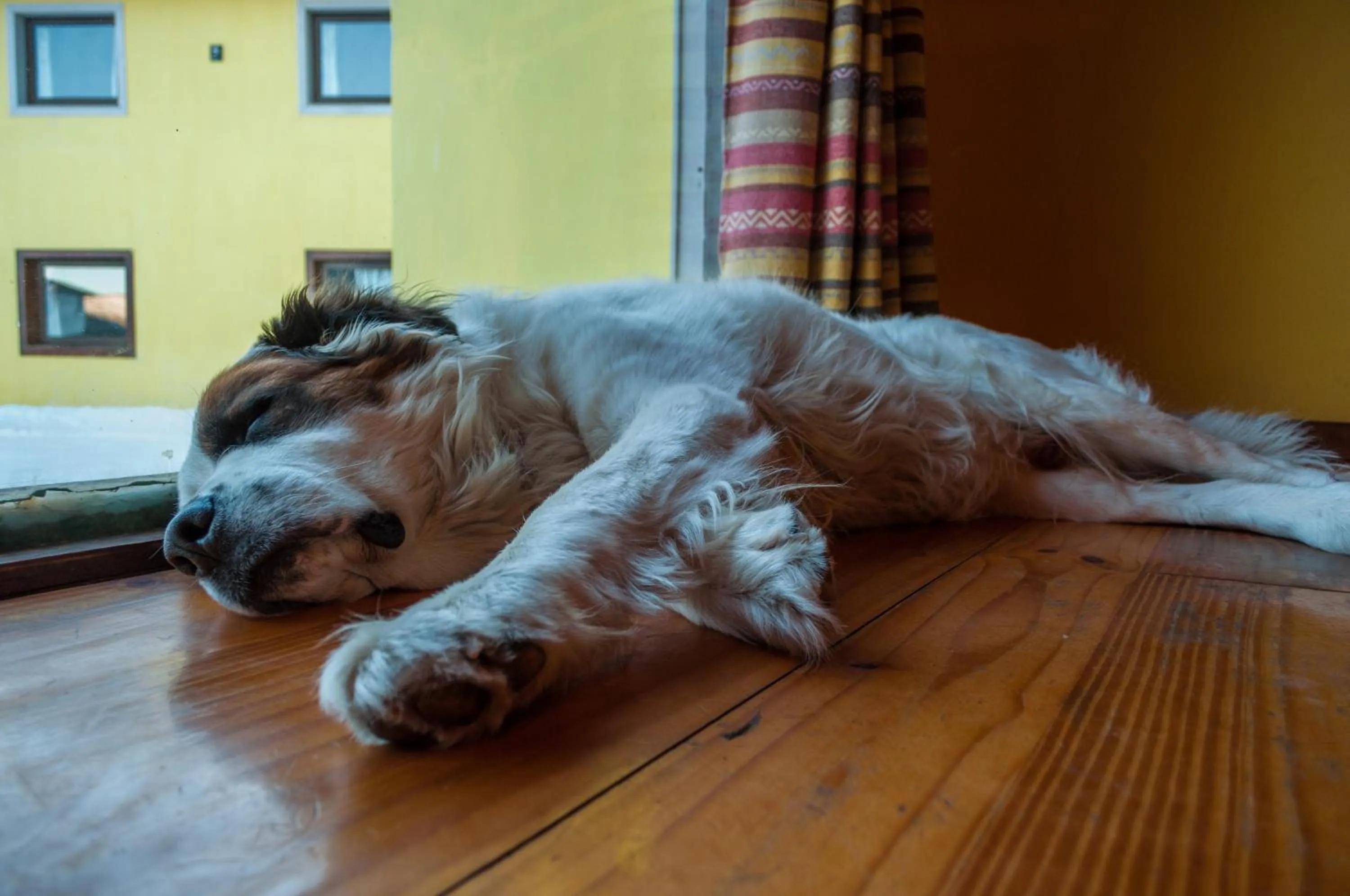 Other in Rancho Grande Hostel