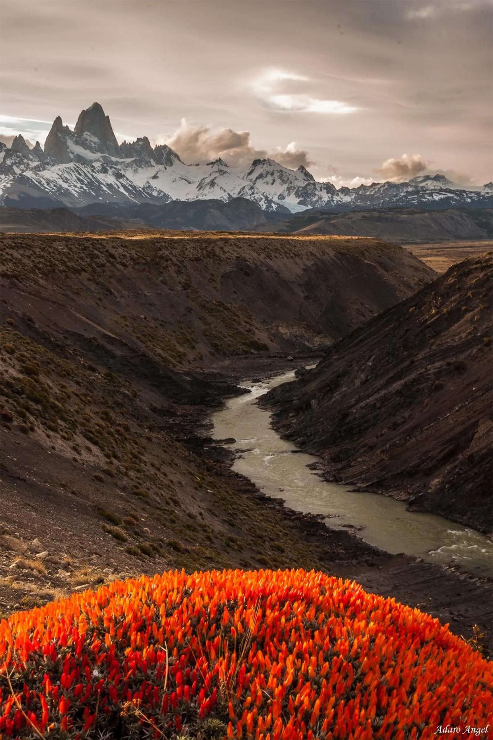 Rancho Grande Hostel