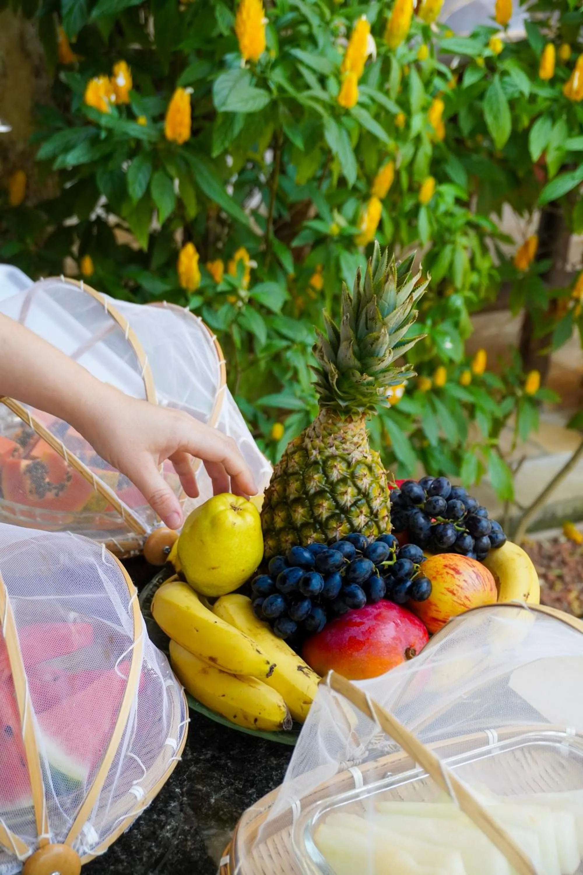 Breakfast in Pousada Cicerone - Portal das Artes - Com Gerador de Energia