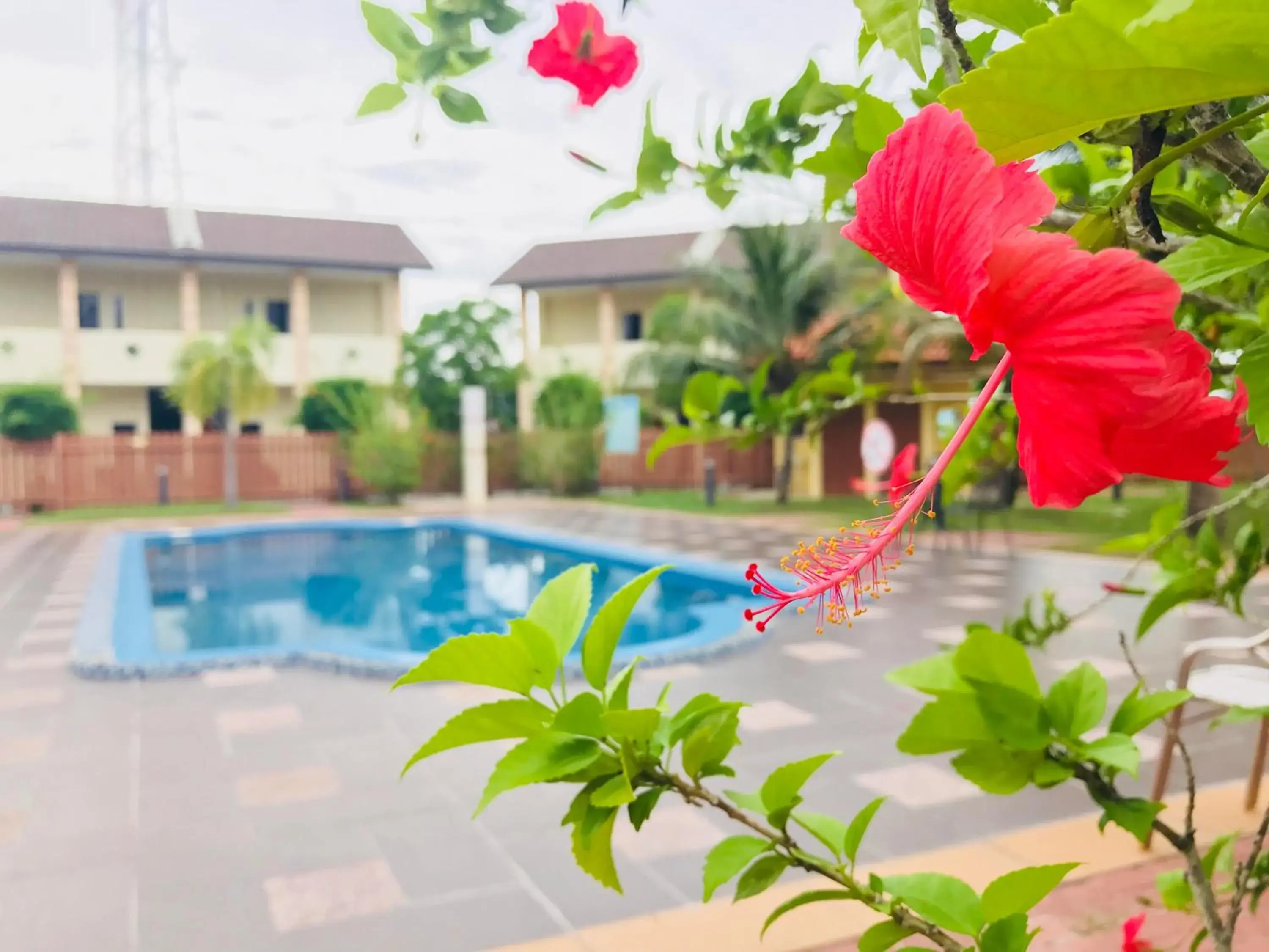 Adina Drive In Motel Adina Drive In Motel