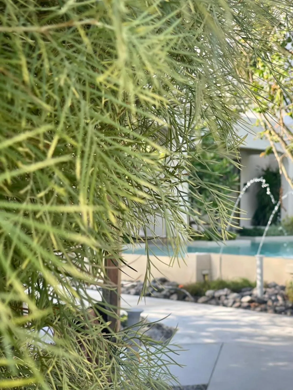 Pool view in Eden Resort & Villas Phuket Patong