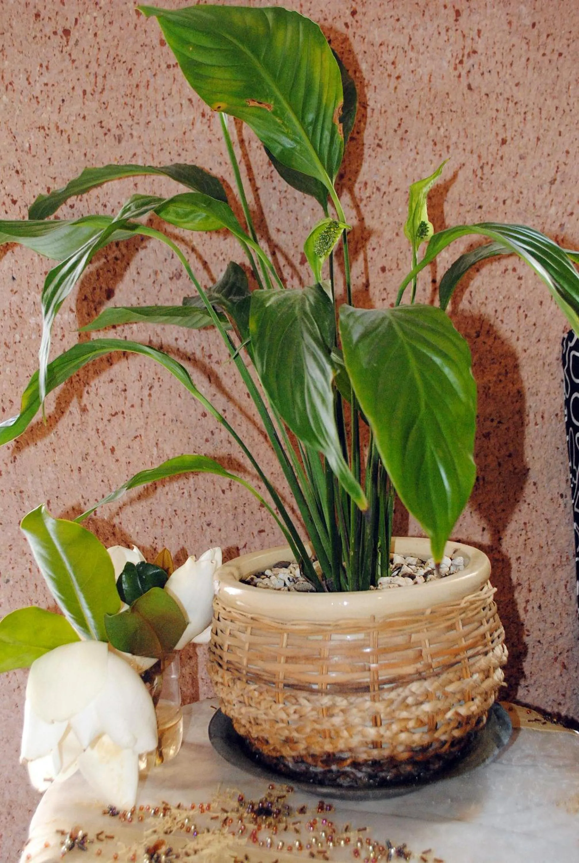 Other in Hotel Buhara Family Inn