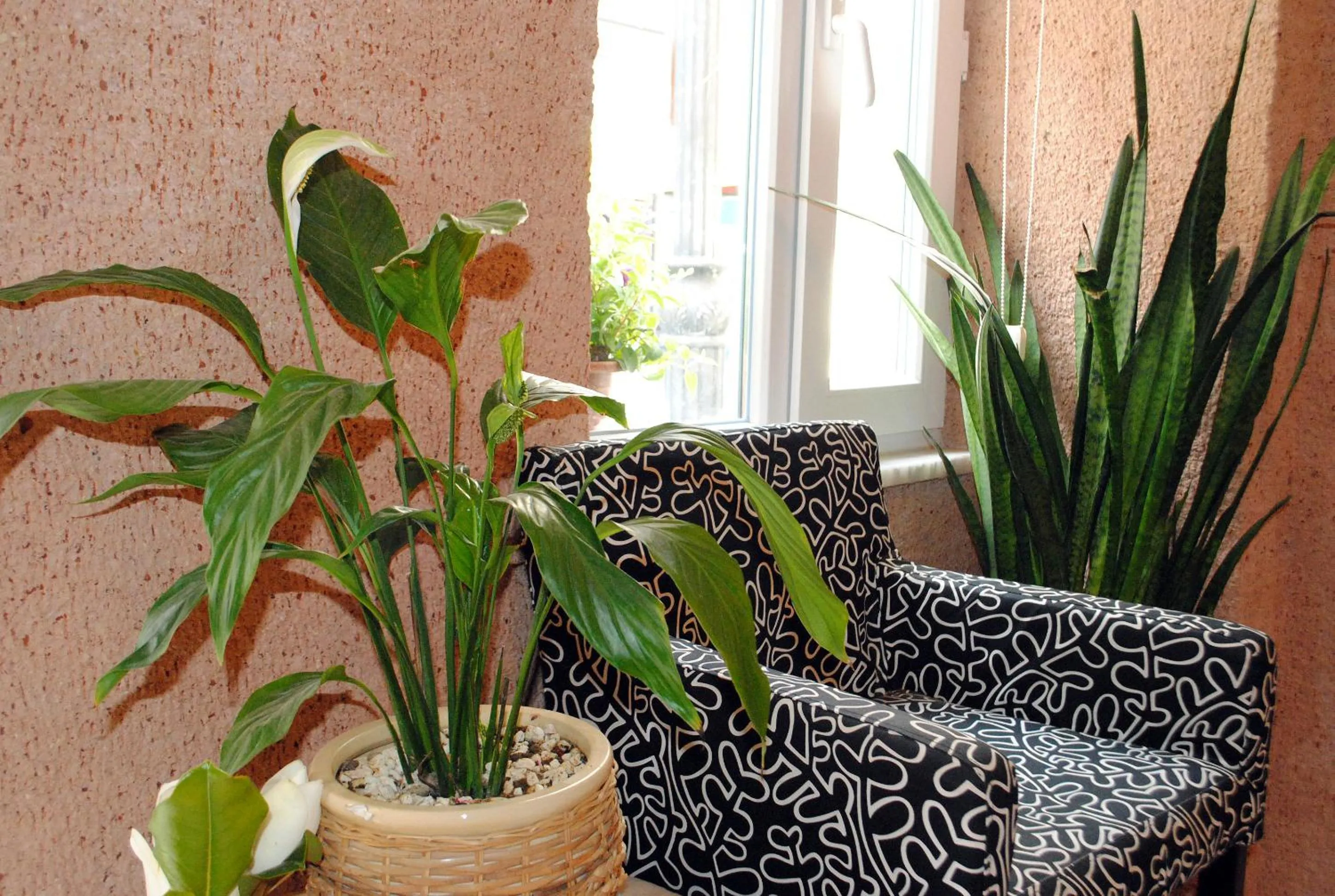 Day in Hotel Buhara Family Inn