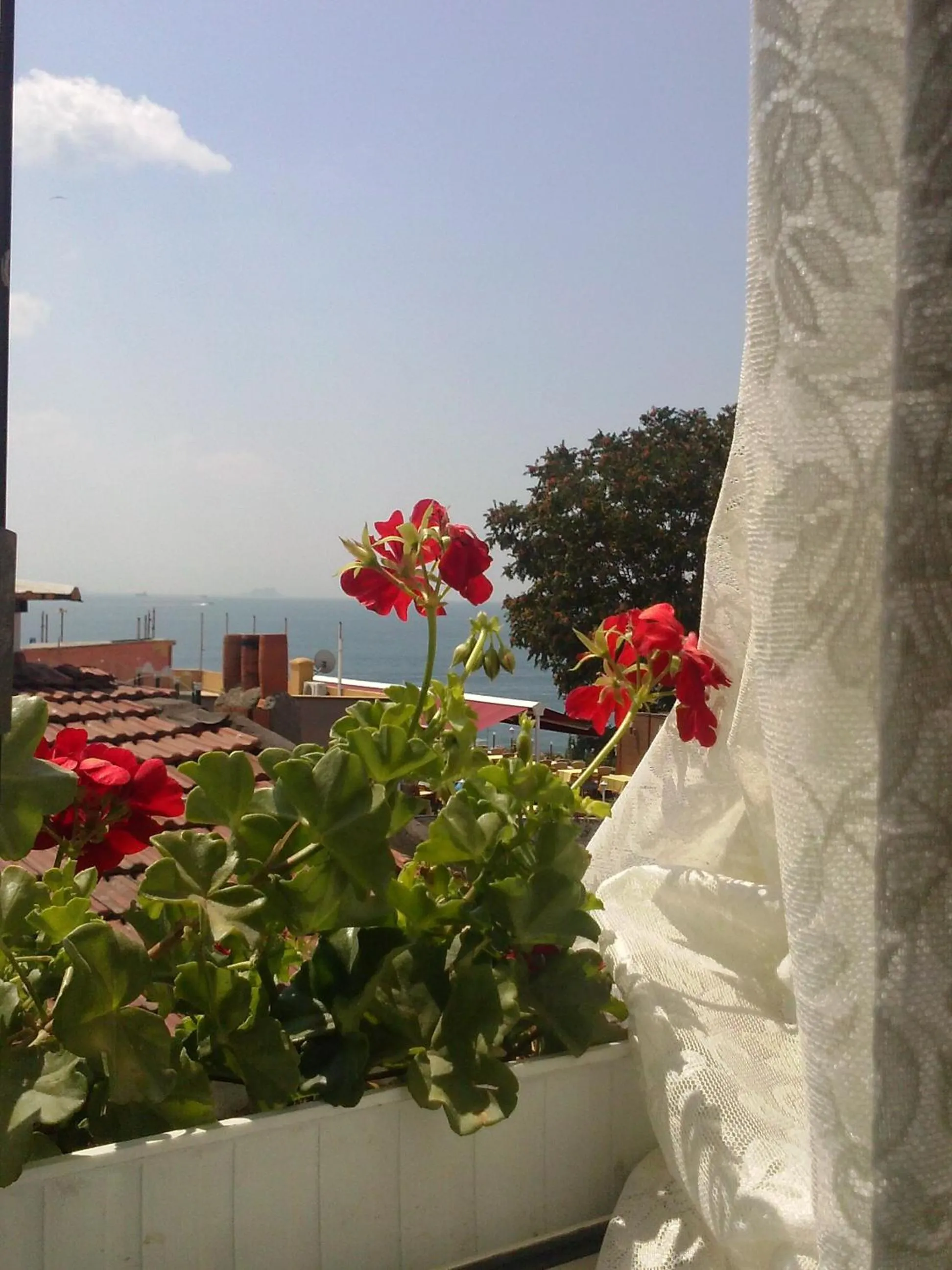 Day in Hotel Buhara Family Inn