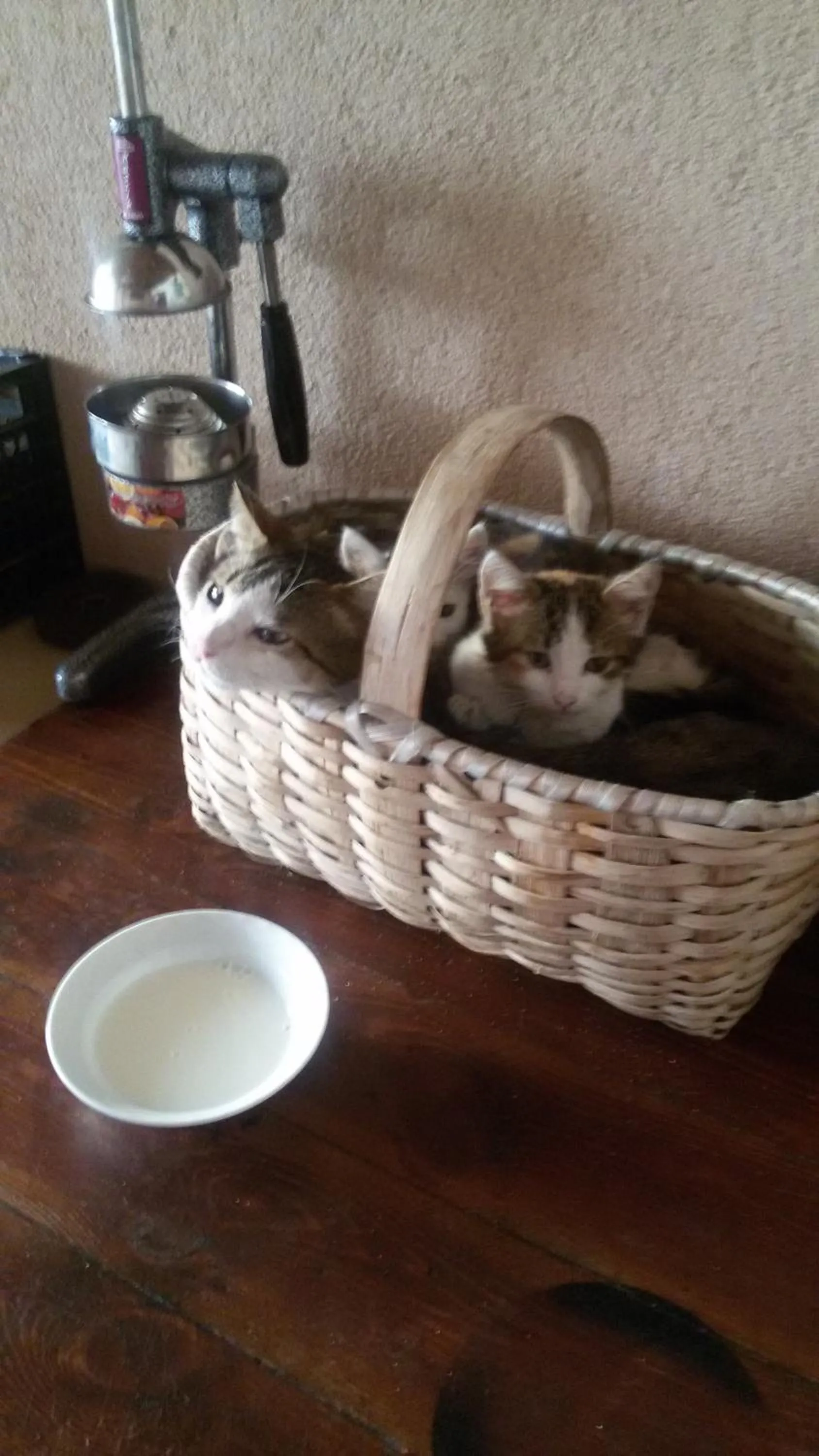 On site in Hotel Buhara Family Inn