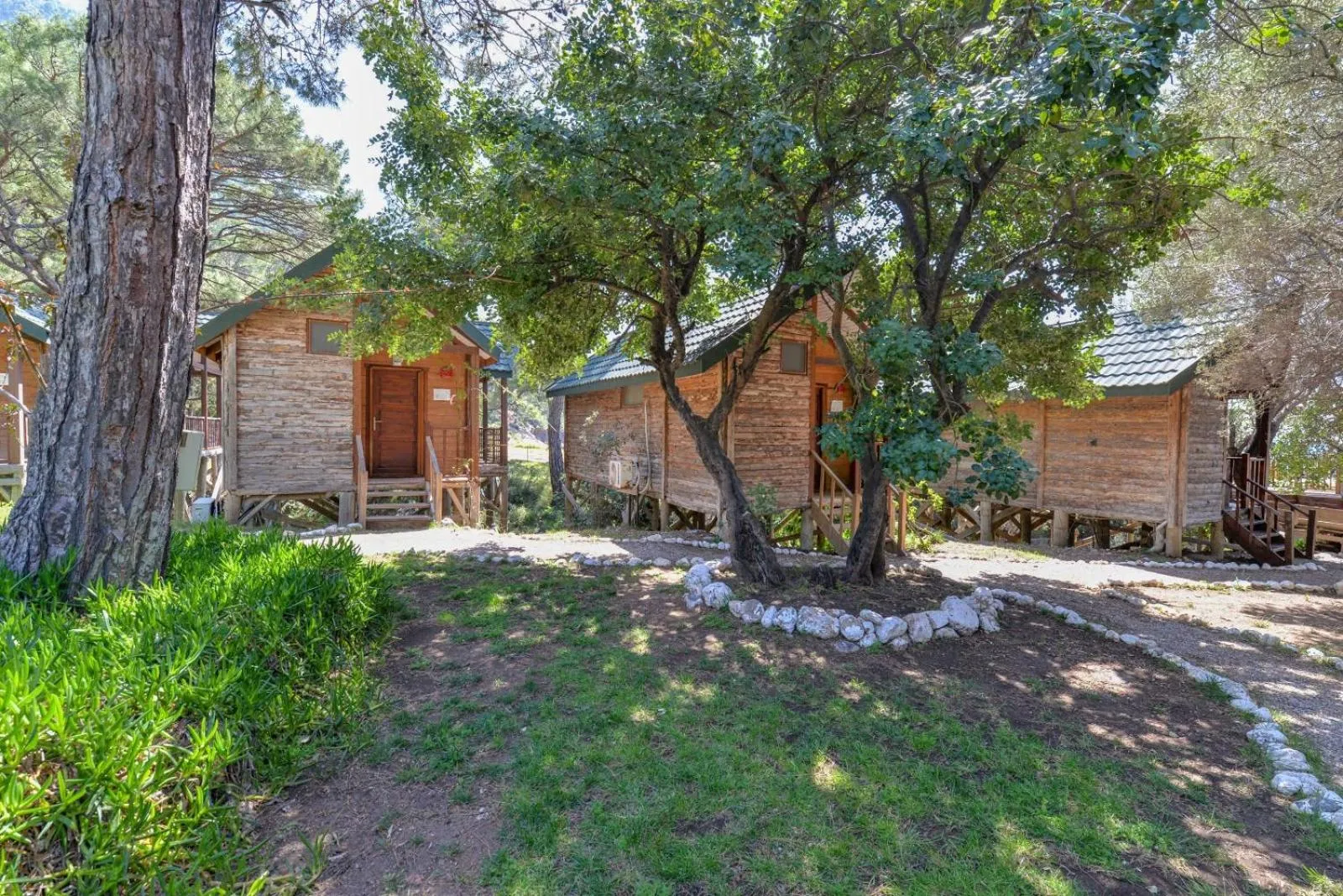 Spring in Sea Valley Lodge