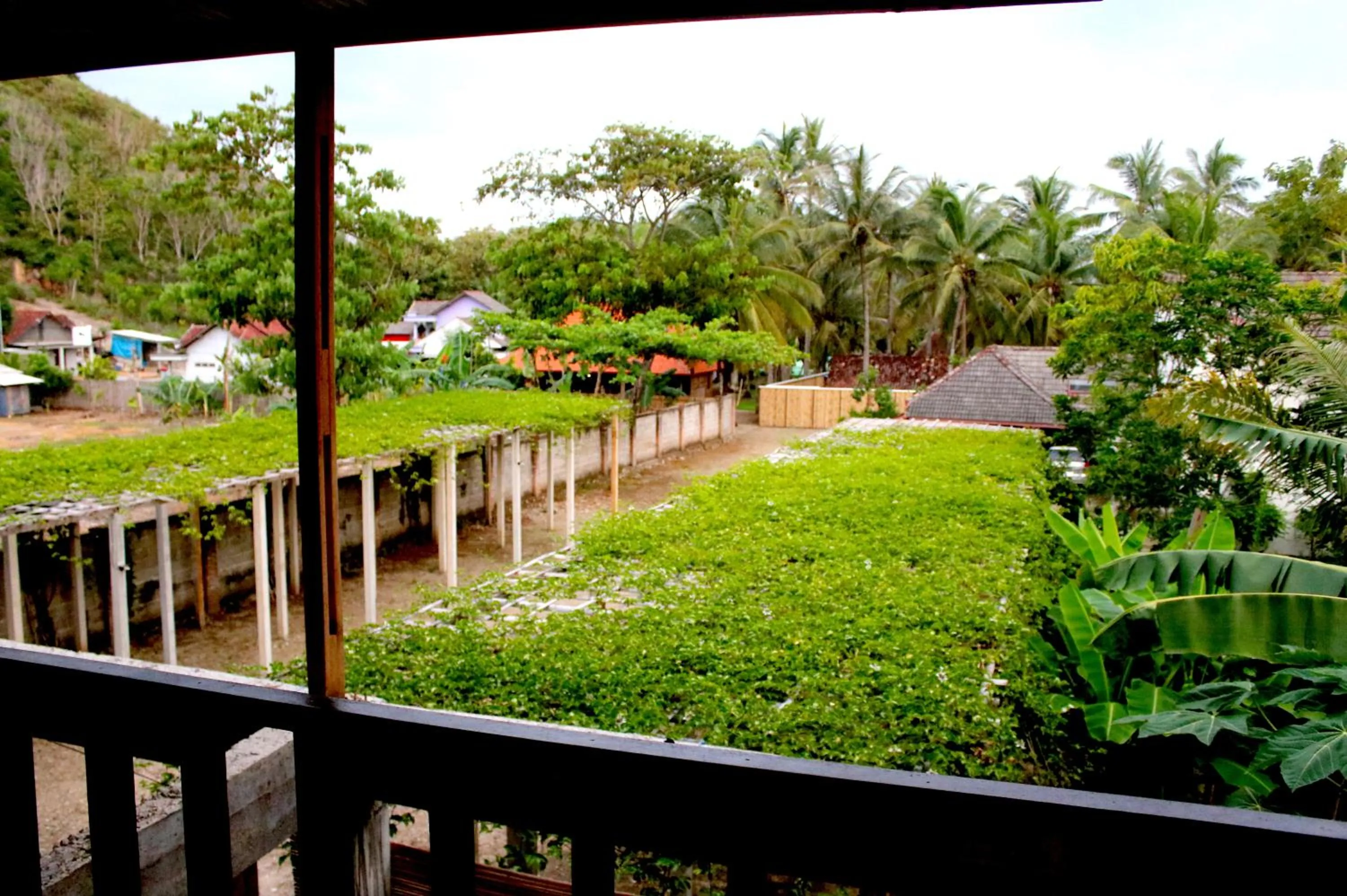 Arrys Watukarung Surfcamp