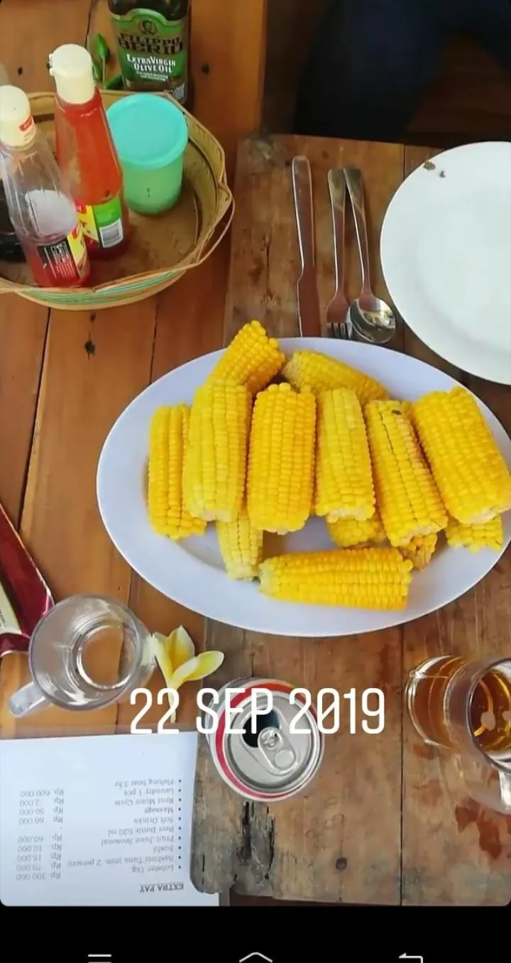 Arrys Watukarung Surfcamp