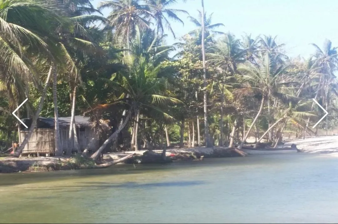 Indigo Palomino Beautiful House