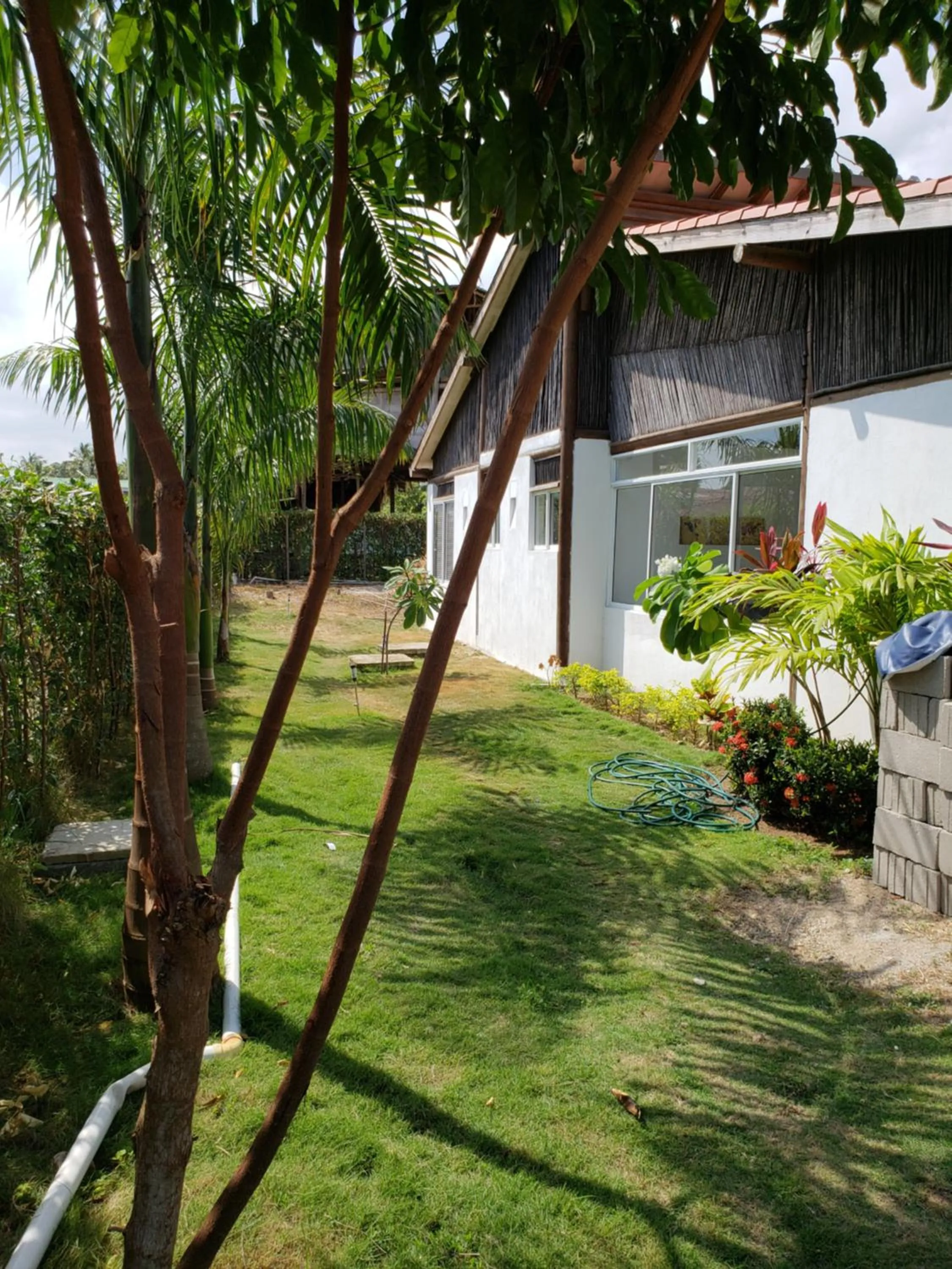 Indigo Palomino Beautiful House