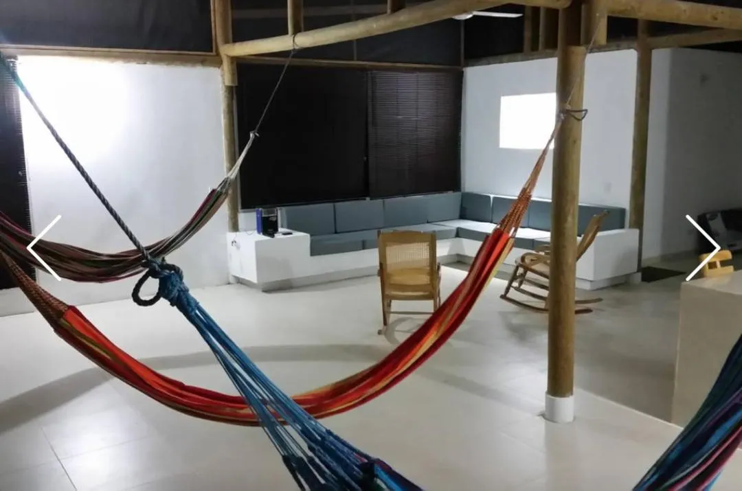 Indigo Palomino Beautiful House