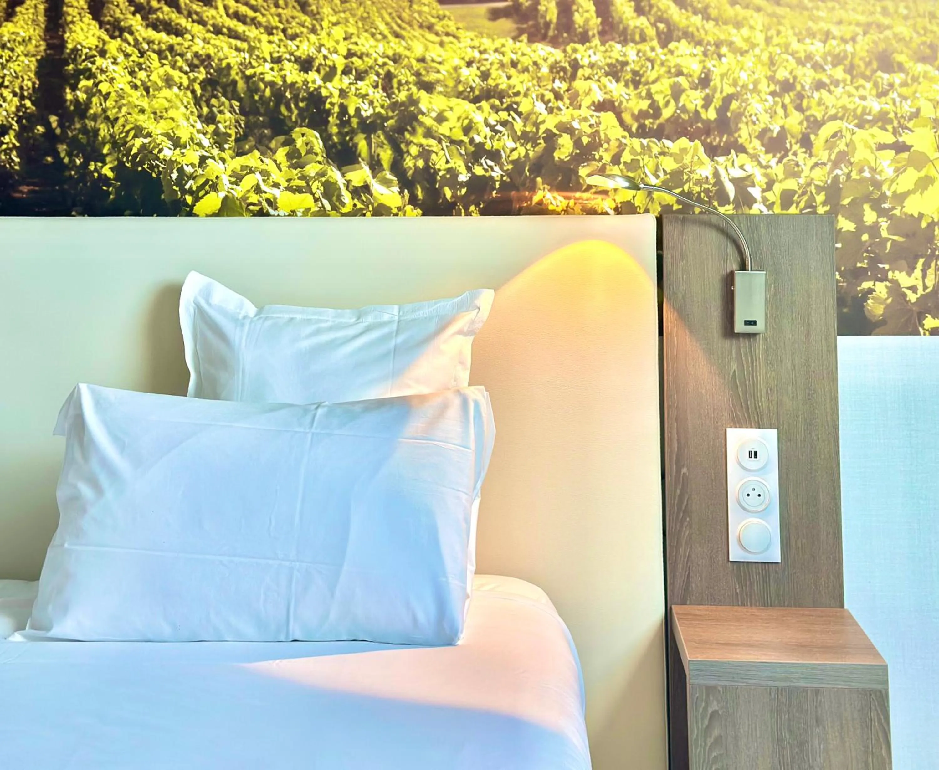 Bed in Best Western Hotel Ile de France