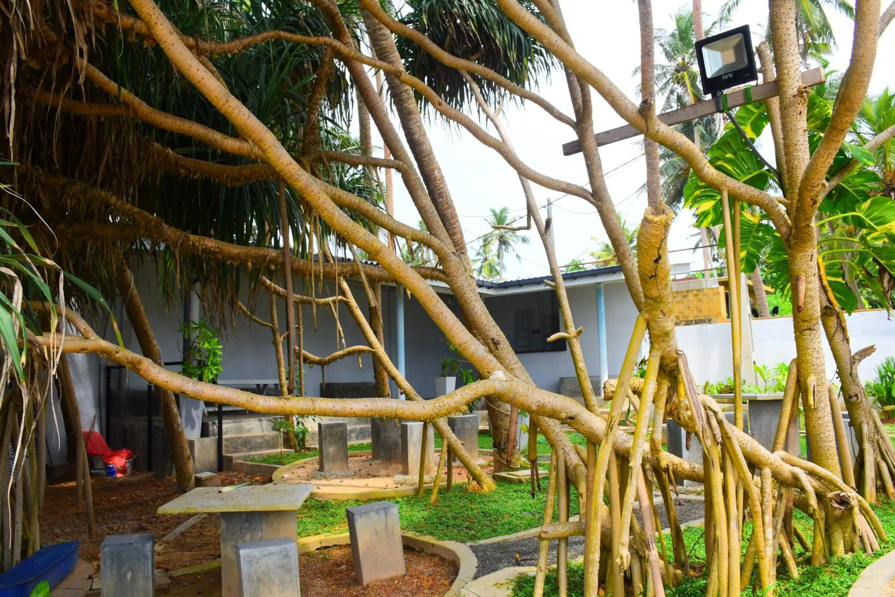 Evening entertainment in Ocean Caves, Balapitiya