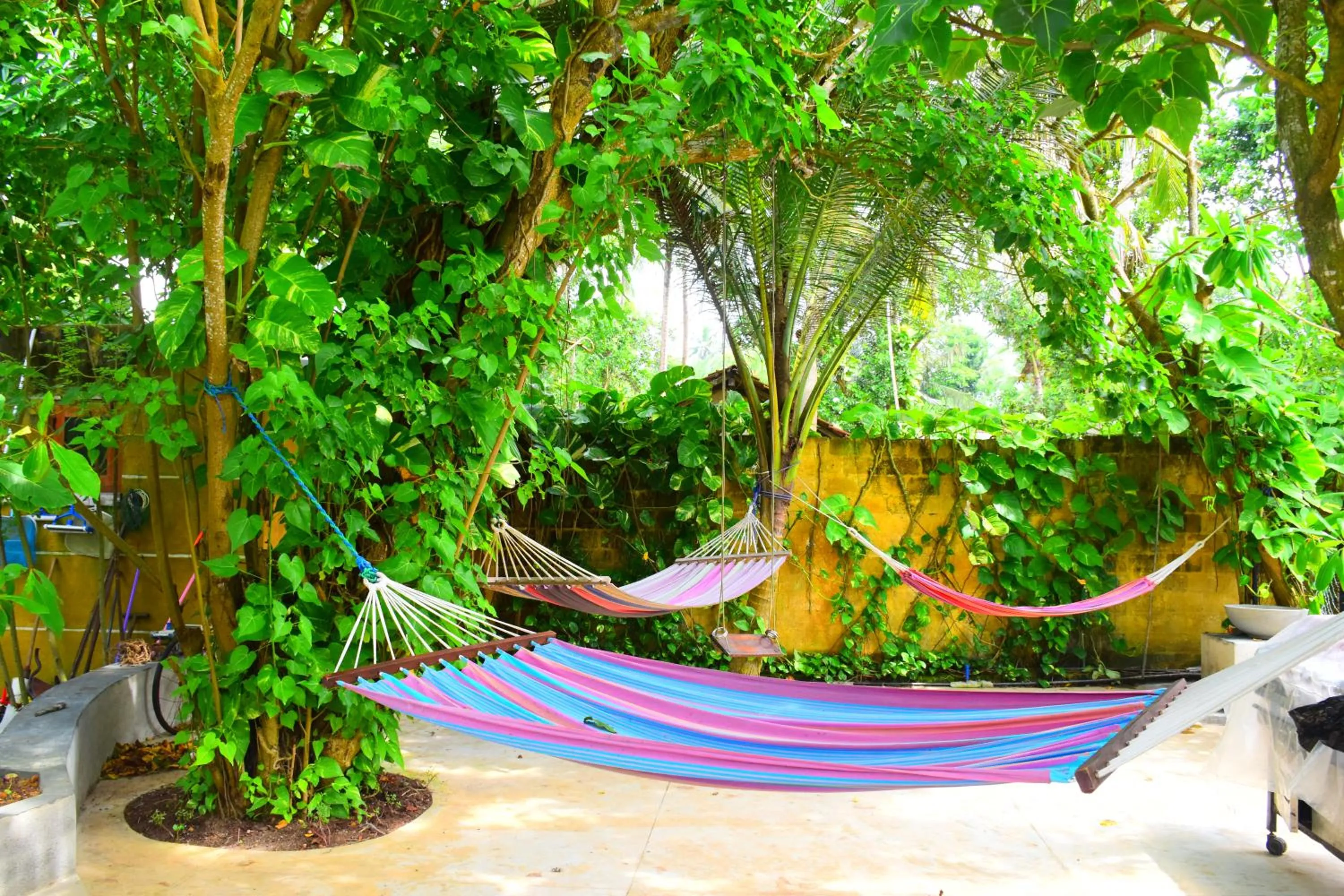 Garden in Ocean Caves, Balapitiya