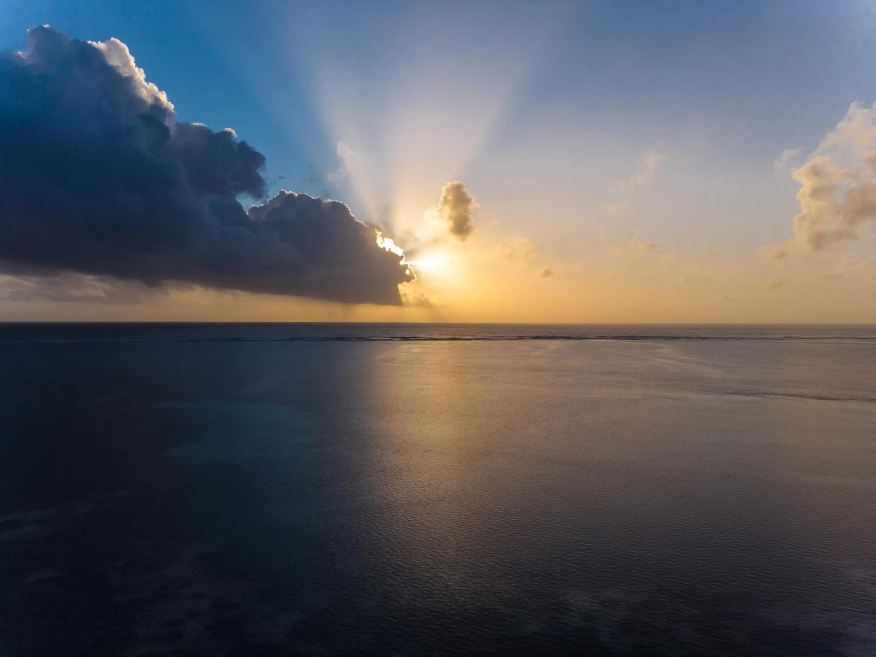 Natural landscape in Zanziblue Boutique Villas