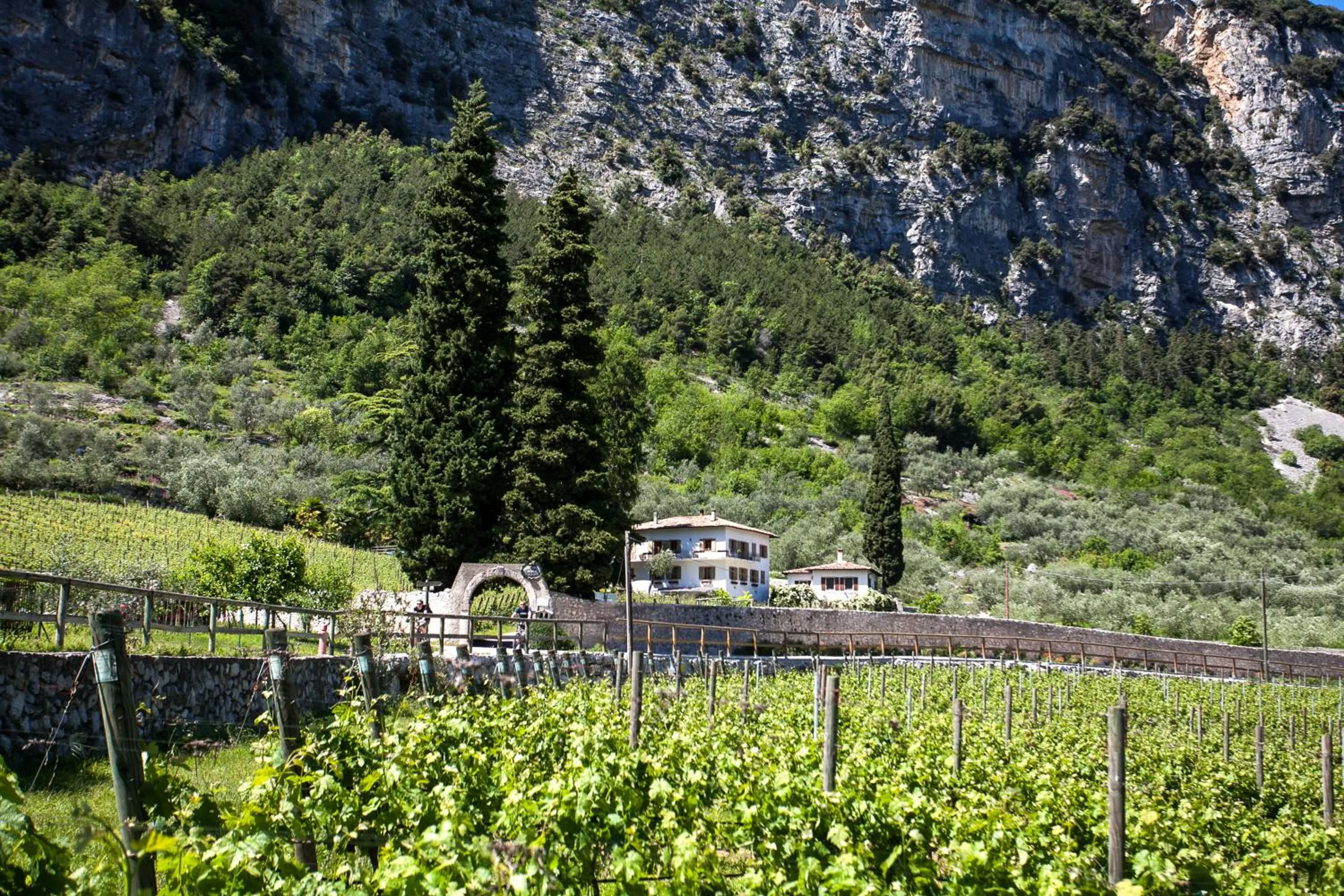 Property building in Agriturismo Maso Lizzone