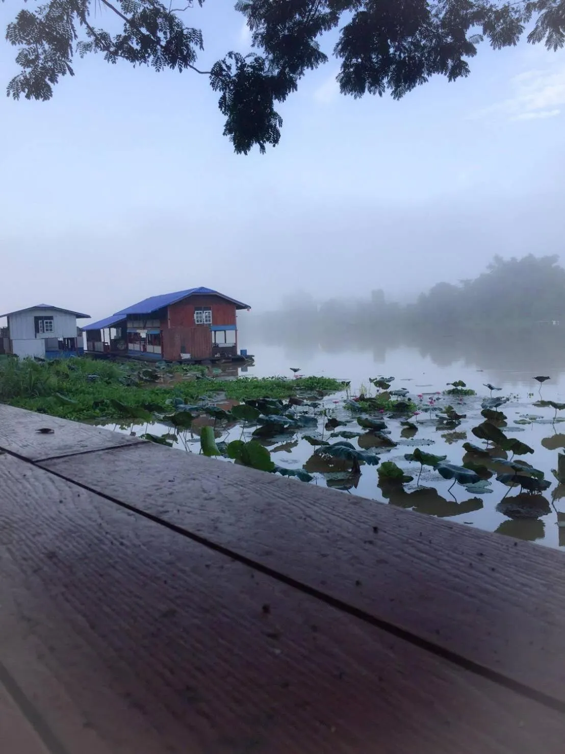 River view in Golden Dragon Kanchanaburi