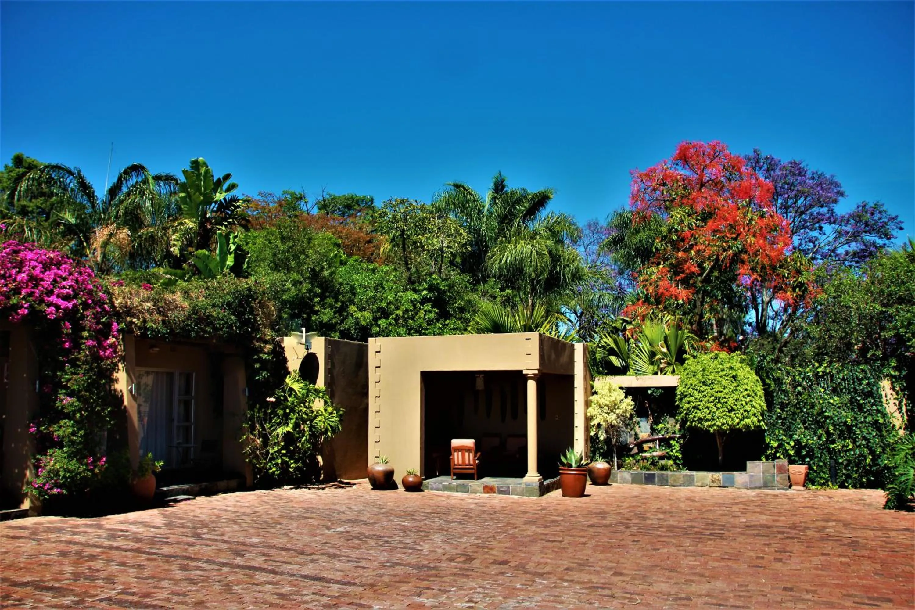 Garden in African Roots Guest House