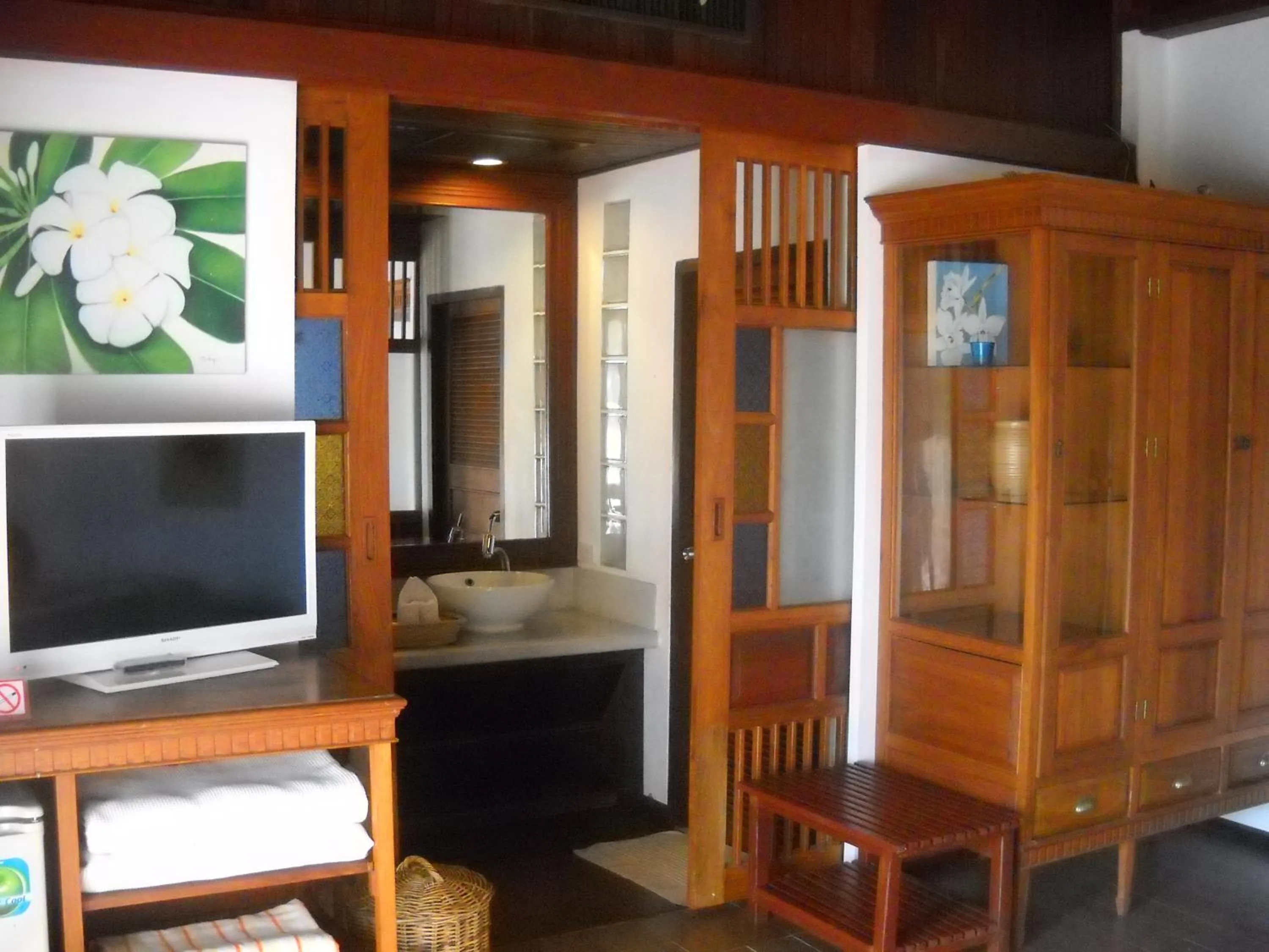 TV and multimedia in Sea Pines & Liberg