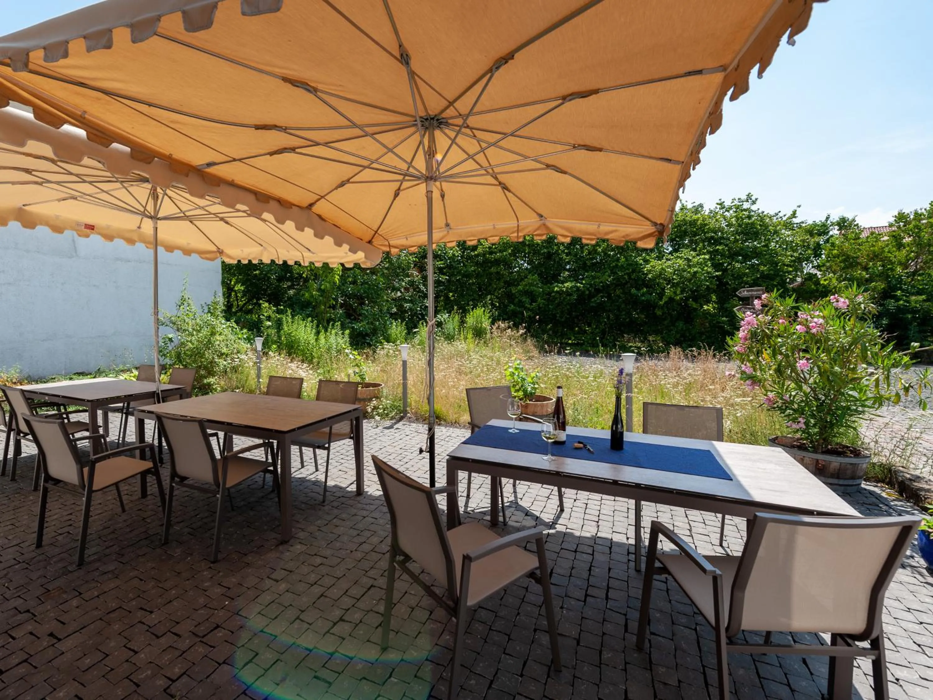 Balcony/Terrace in Gästezimmer im Weingut Wolf