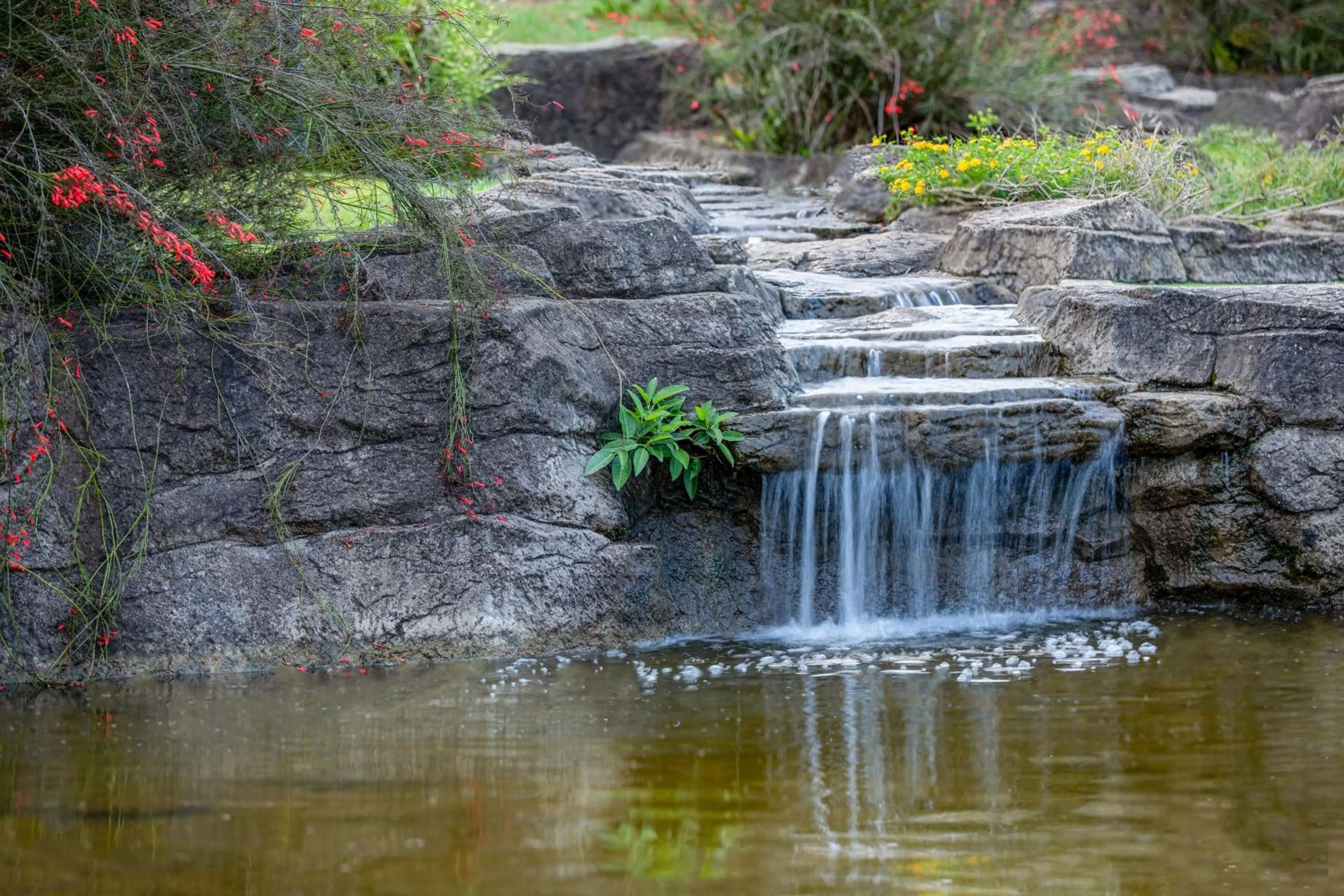 Property building in Pine Lake Resort