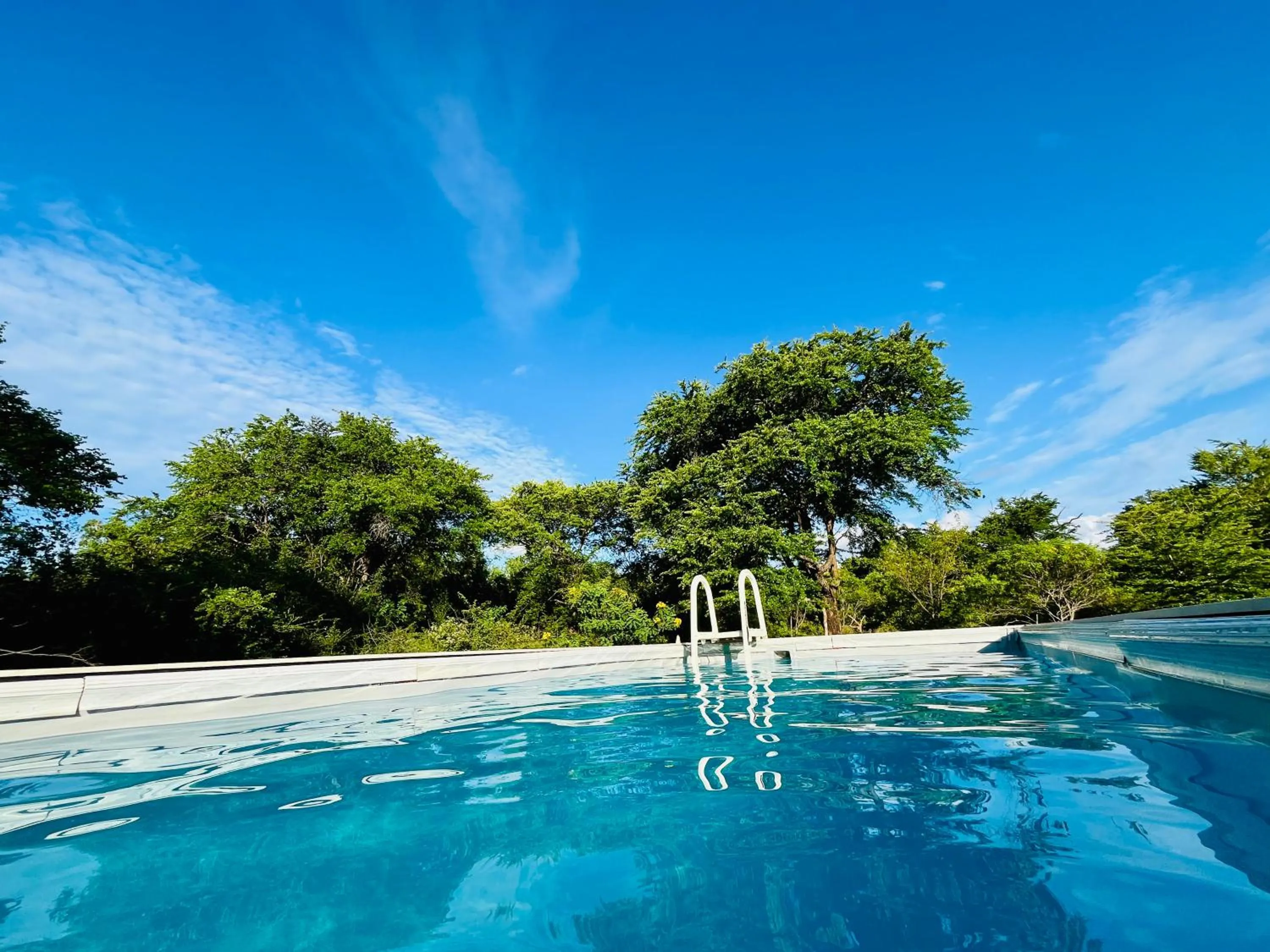 Swimming pool in Funky Leopard Safari Lodge Bordering Yala National Park