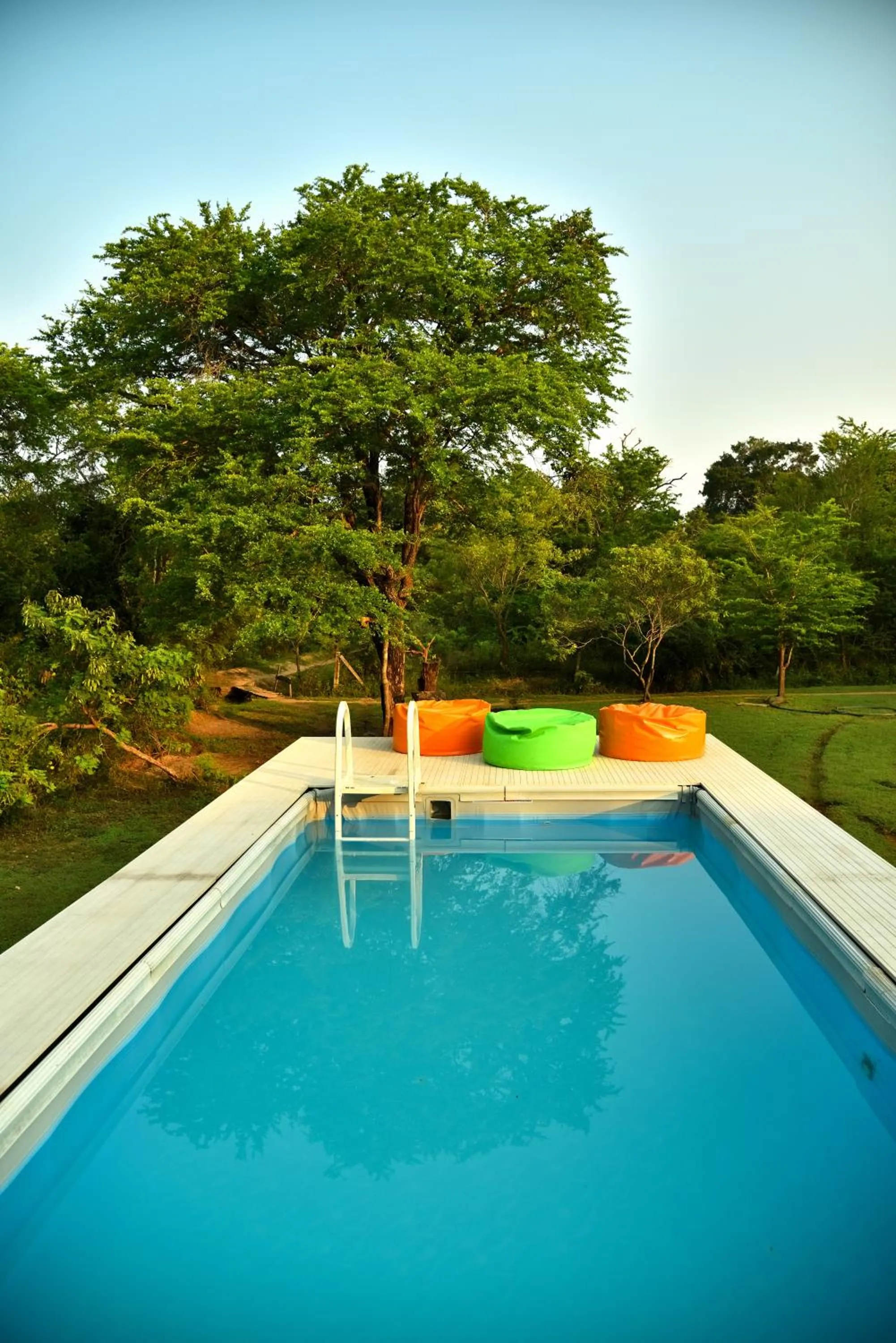 Swimming pool in Funky Leopard Safari Lodge Bordering Yala National Park