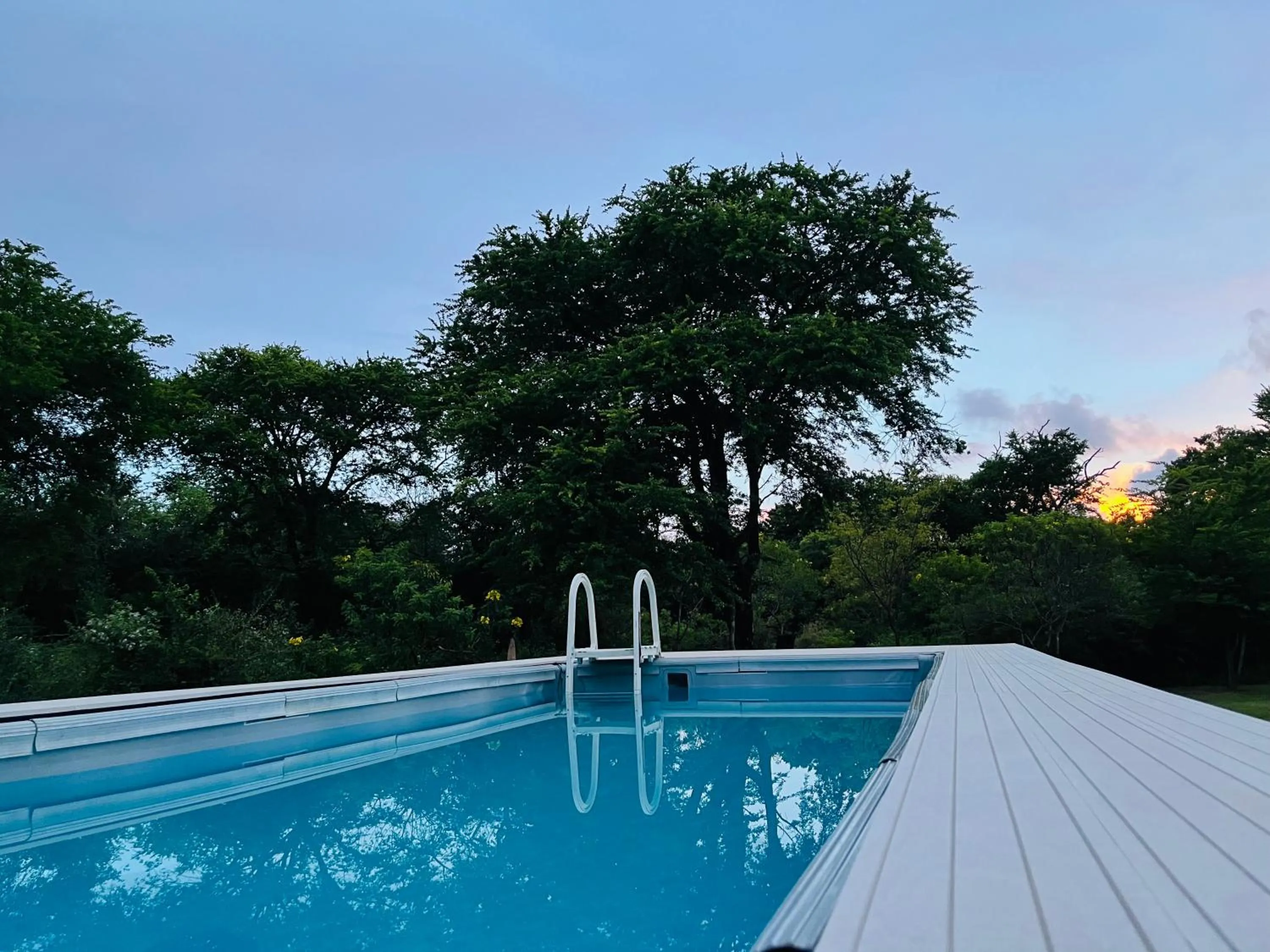 Pool view in Funky Leopard Safari Lodge Bordering Yala National Park