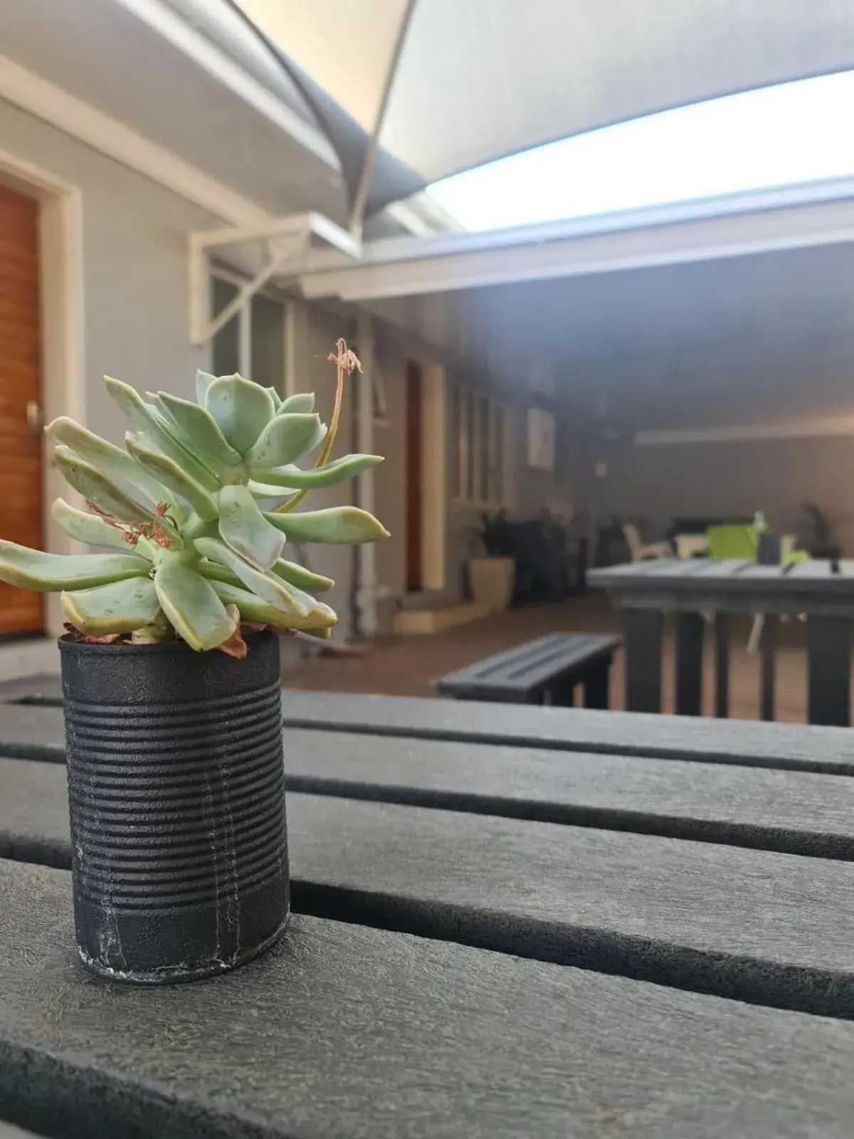 Single Room - single occupancy in Lion Lodge Single Room - single occupancy in Lion Lodge