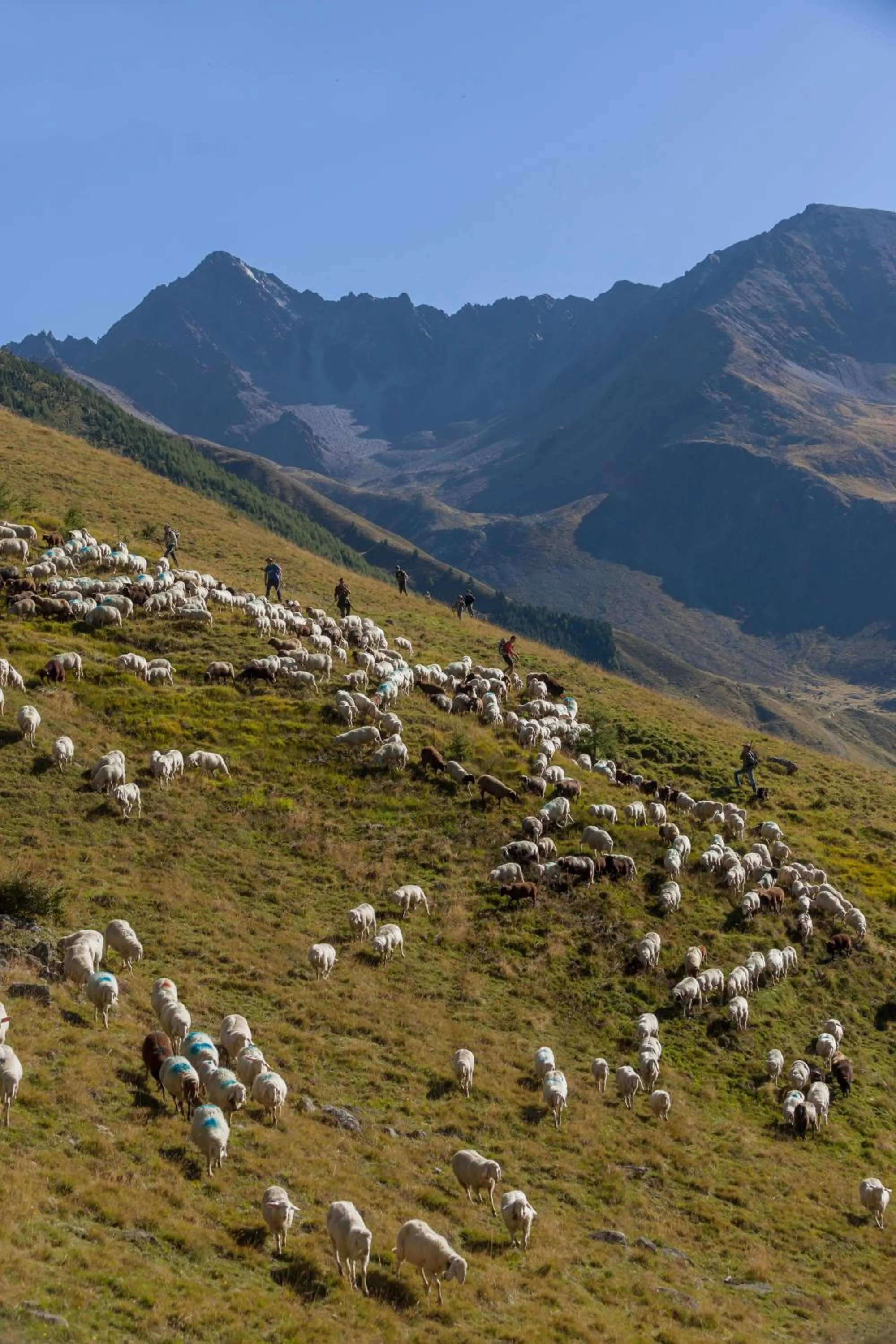 Natural landscape in Berghotel Franzenshöhe