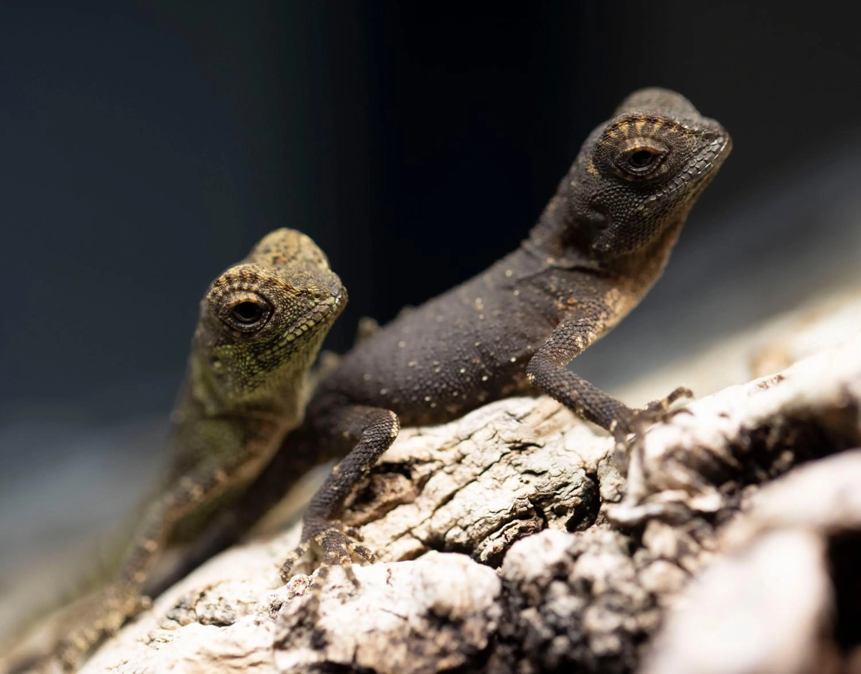 Relais Touraine Sologne