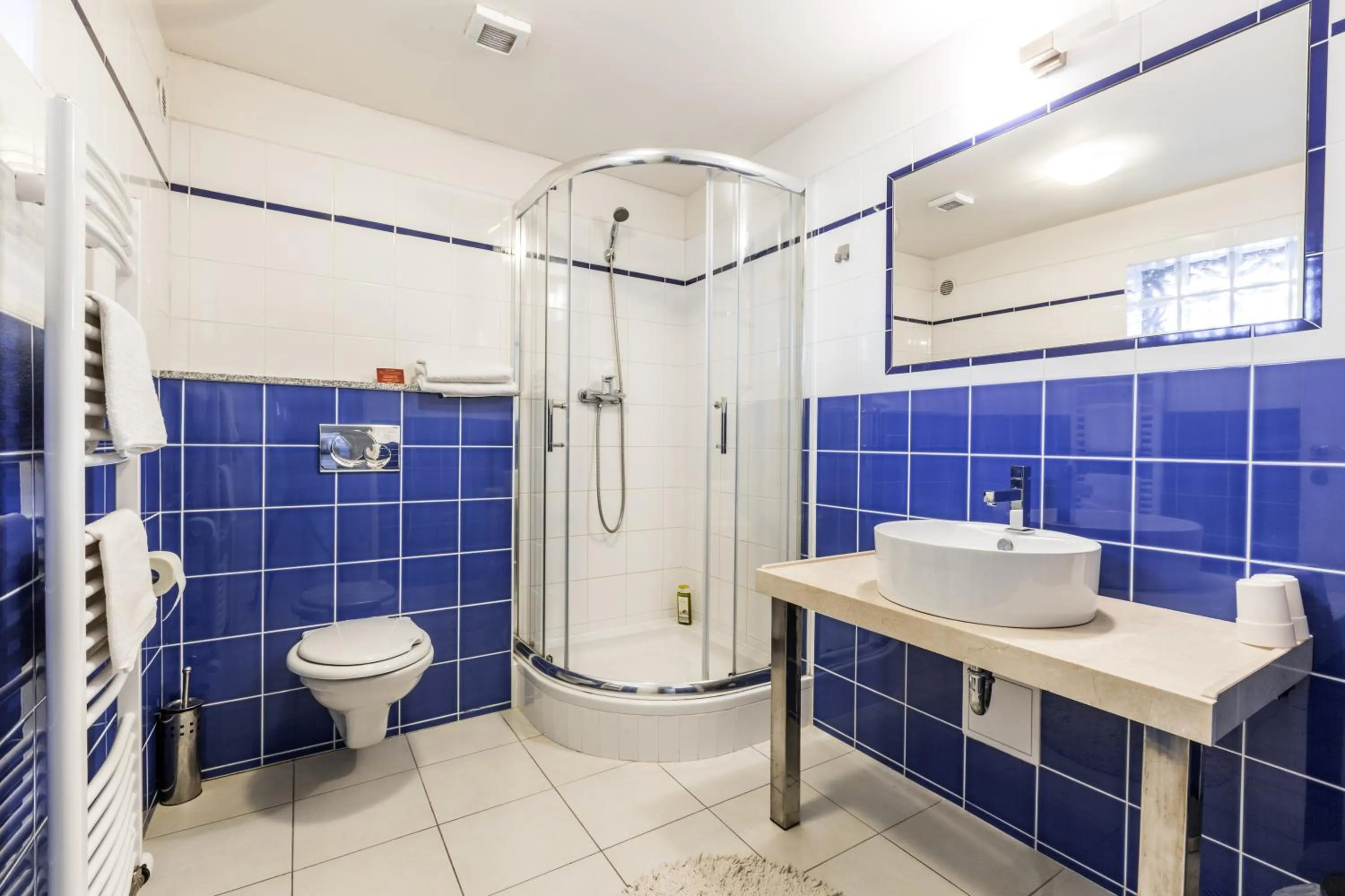 Bathroom in Alt pension