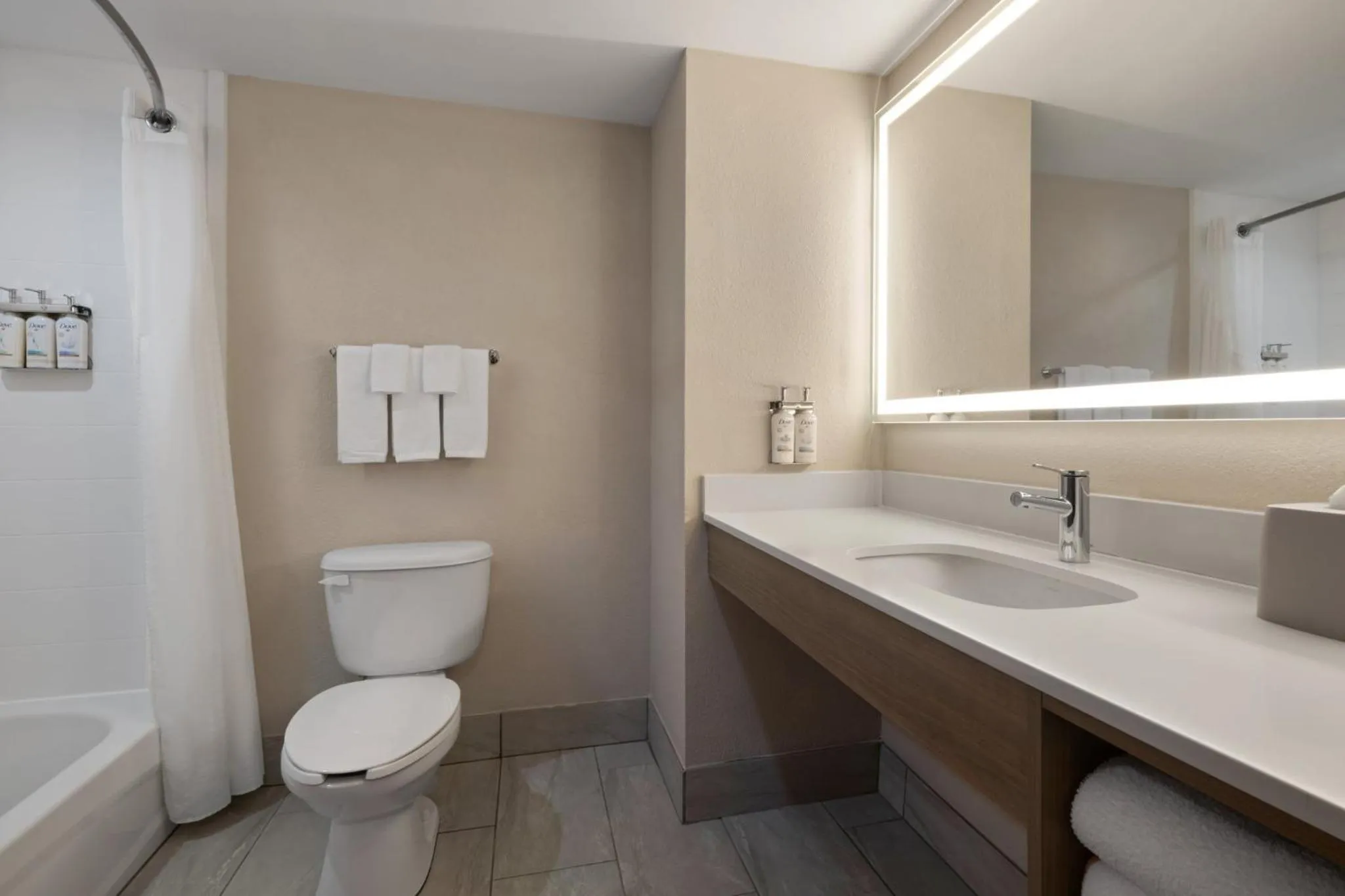 Bathroom in Holiday Inn Express & Suites Sebring by IHG
