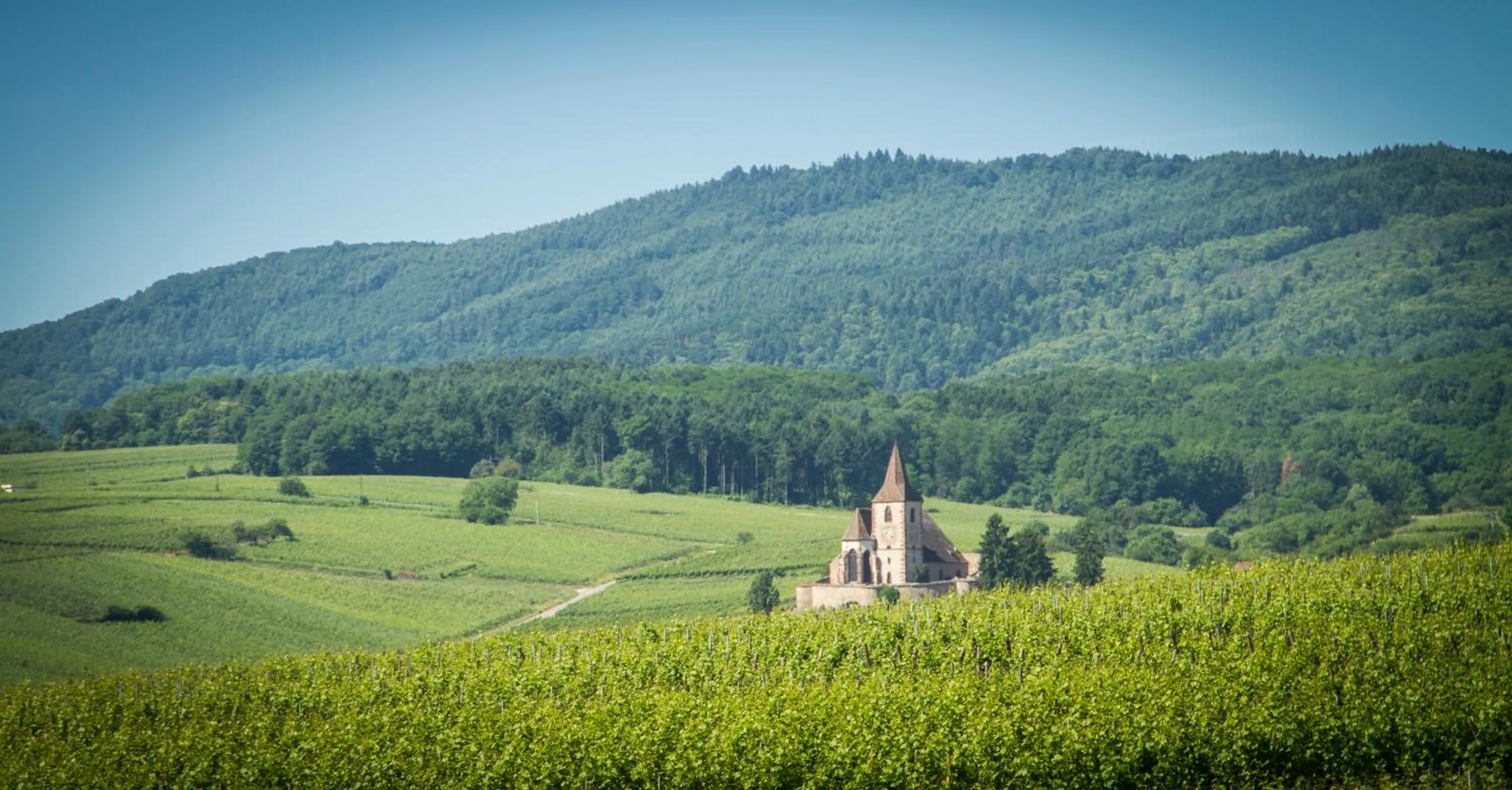 Natural landscape in Hôtel Le Ménestrel