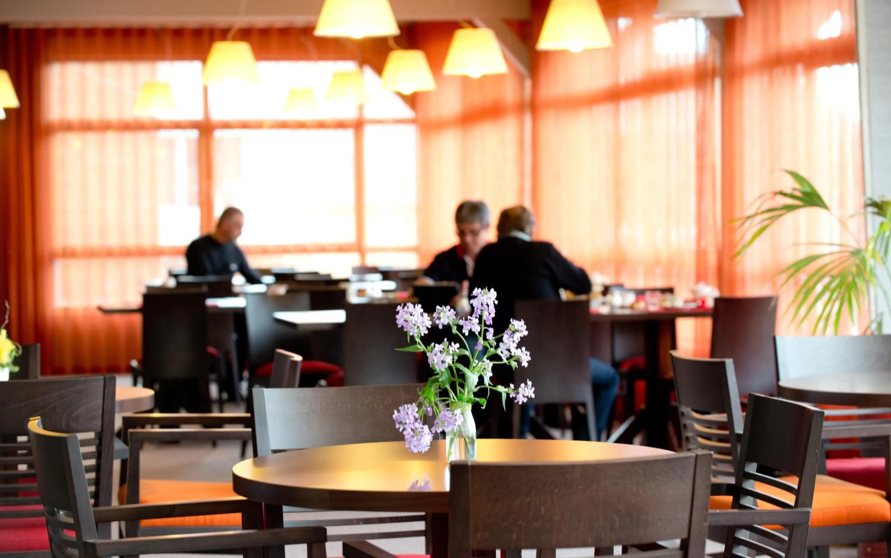 Lounge or bar in Hôtel Le Ménestrel