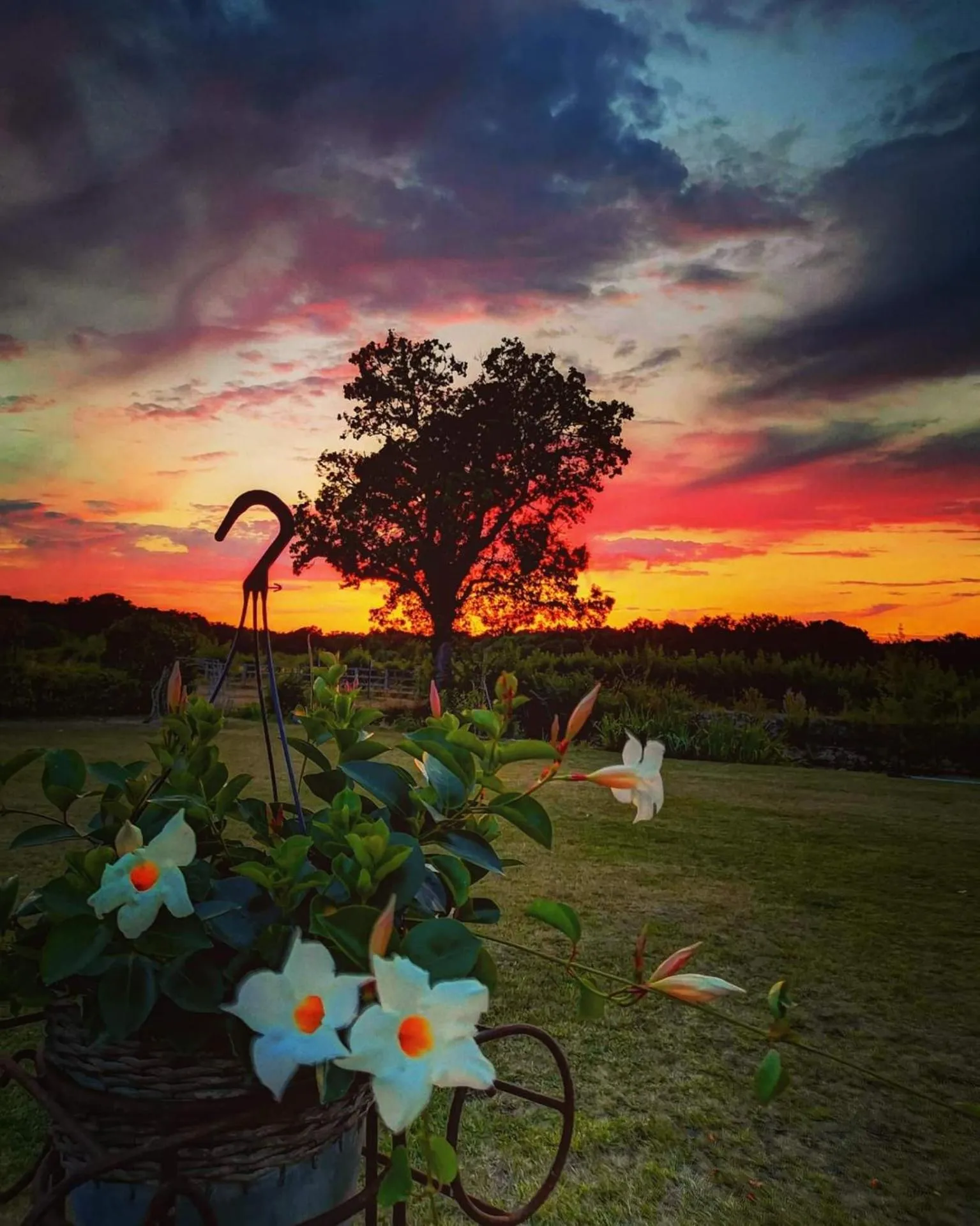 Garden view in Manoir la Rumillette
